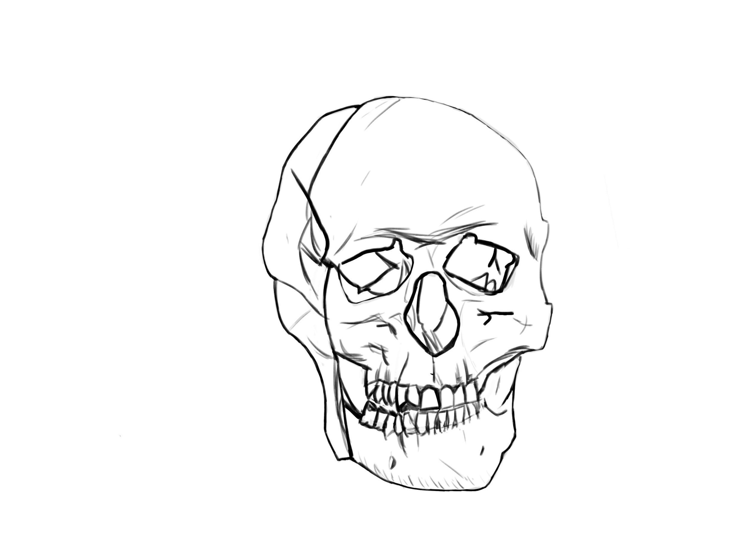 croquis crâne copie.jpg