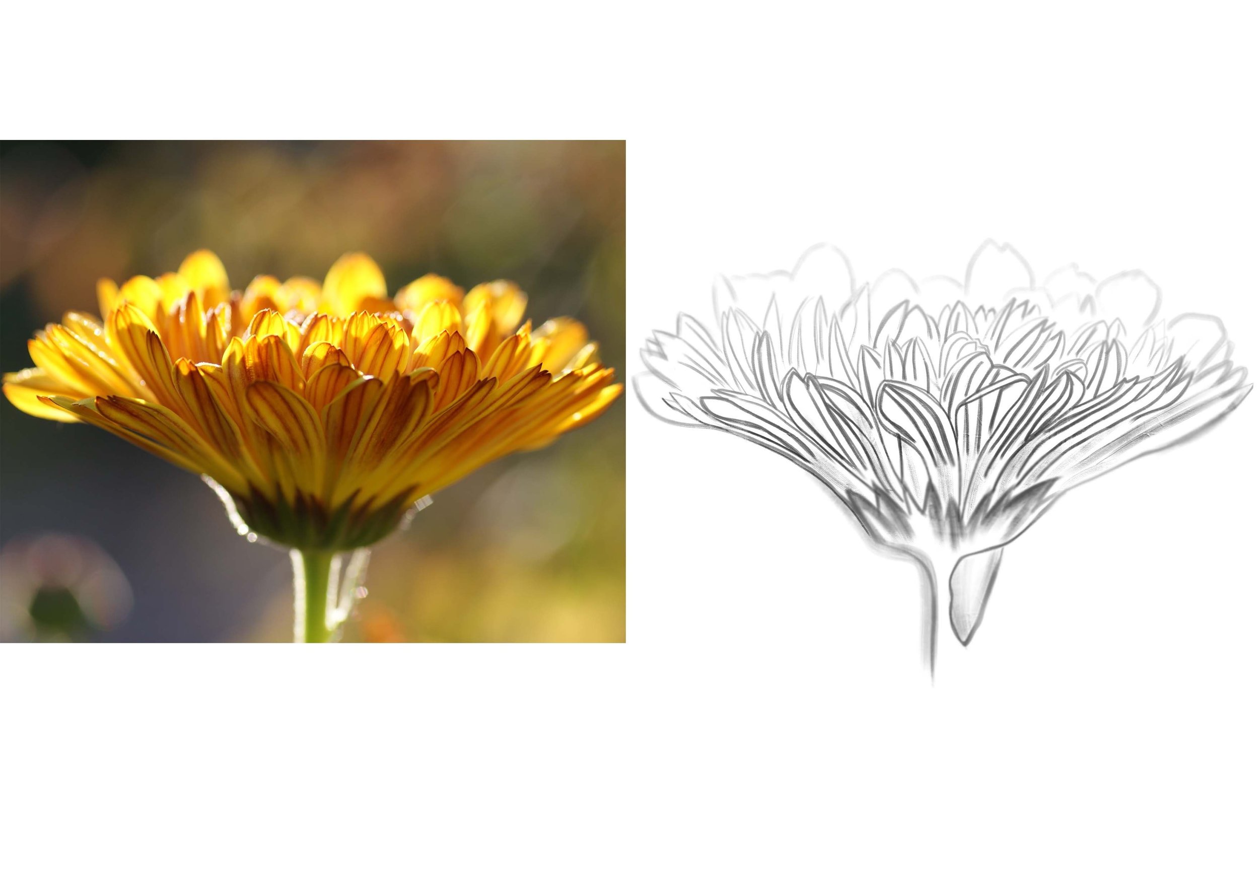 resenje prvog zadatka cvetic.jpg