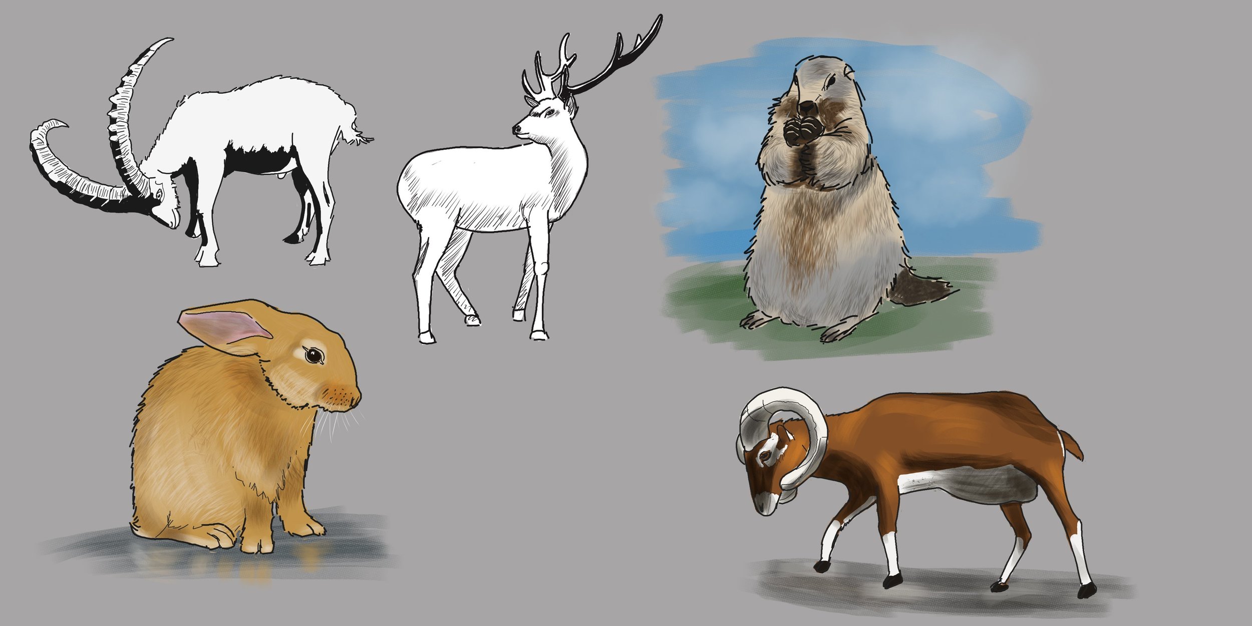 EXERCICE 233 - 29-08-21 CHARA DESIGN ET SKETCH D'ANIMAUX - 2.jpg