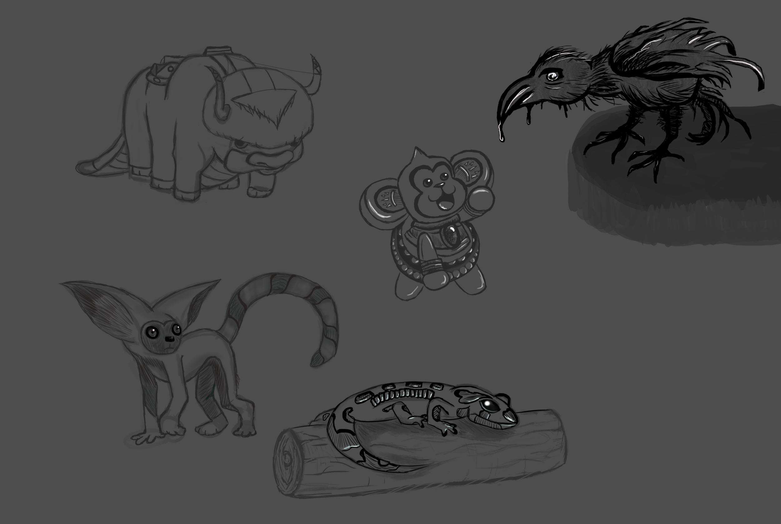 salamandre croquis.png