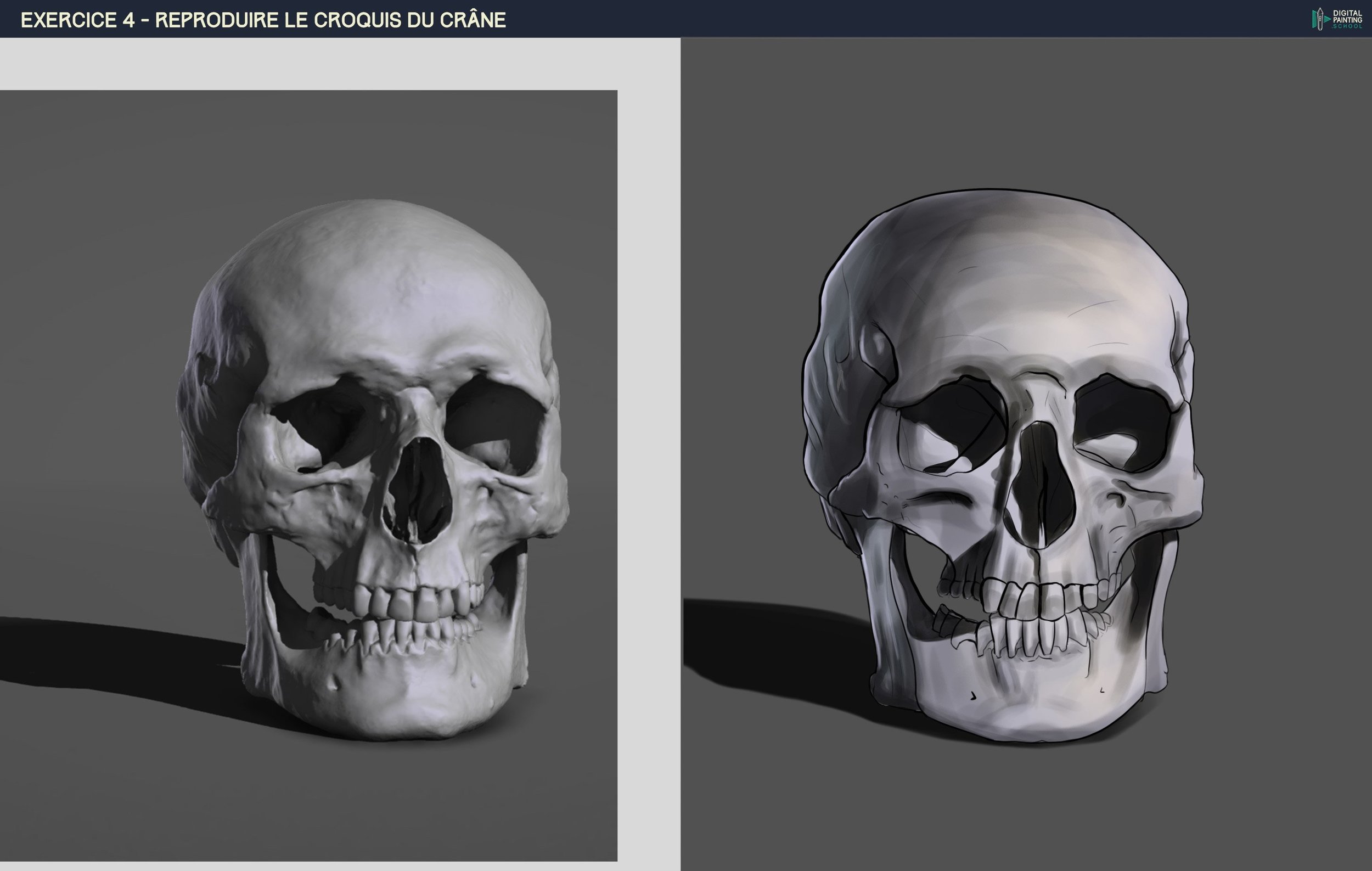 DPS-Prog-1-2-2-démo-crane-croquis Color - Wazercube.jpg