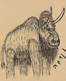 Opera Instantané_2021-09-18_221049_www.instagram.com.png