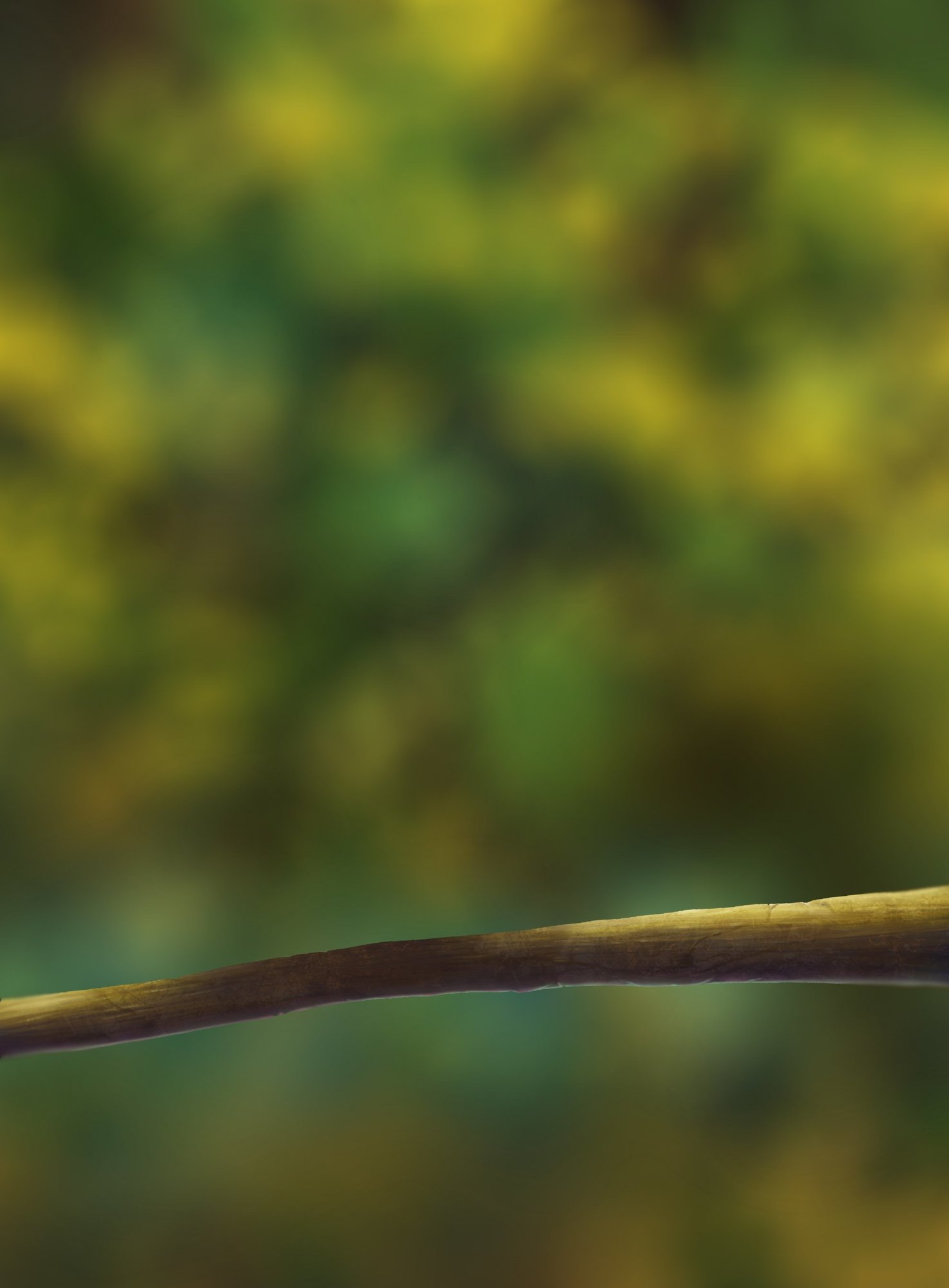 EXERCICE OISEAU BASE 2.jpg