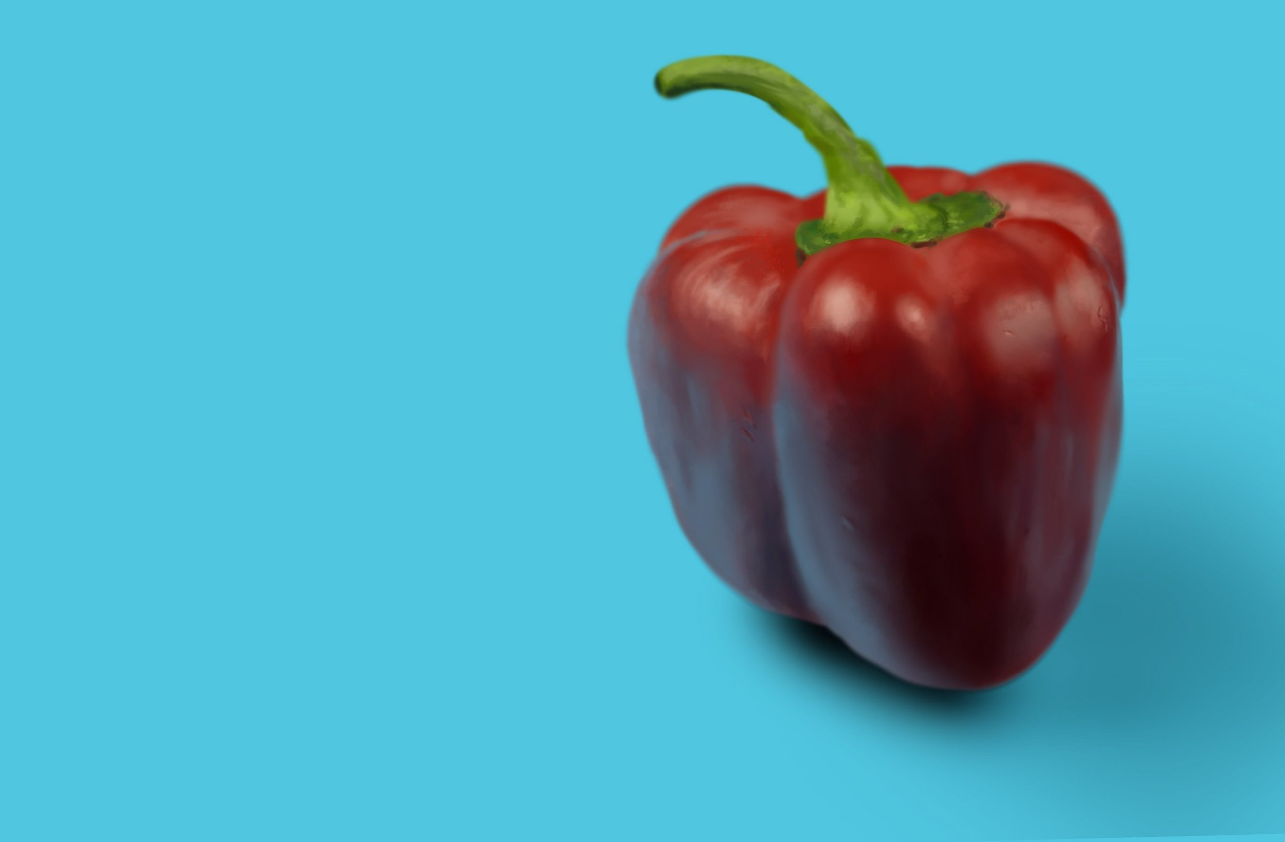 Exercice4-etude-photo1 OK copie.jpg