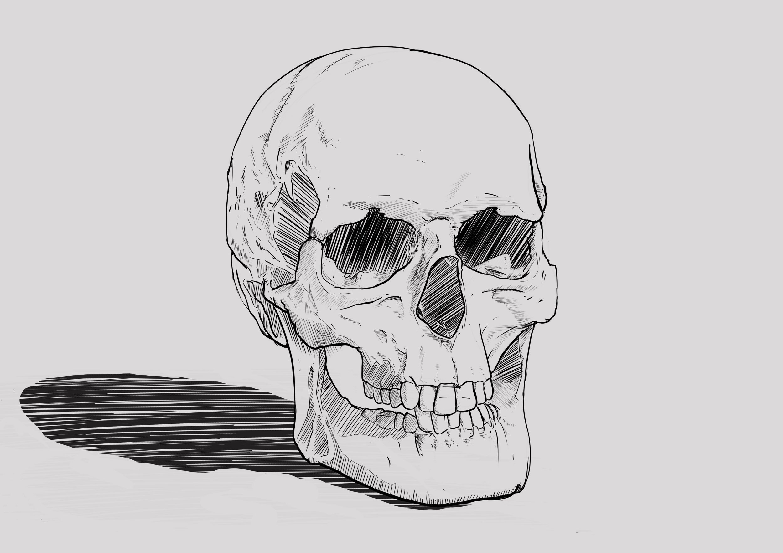 reproduire crane OK.jpg