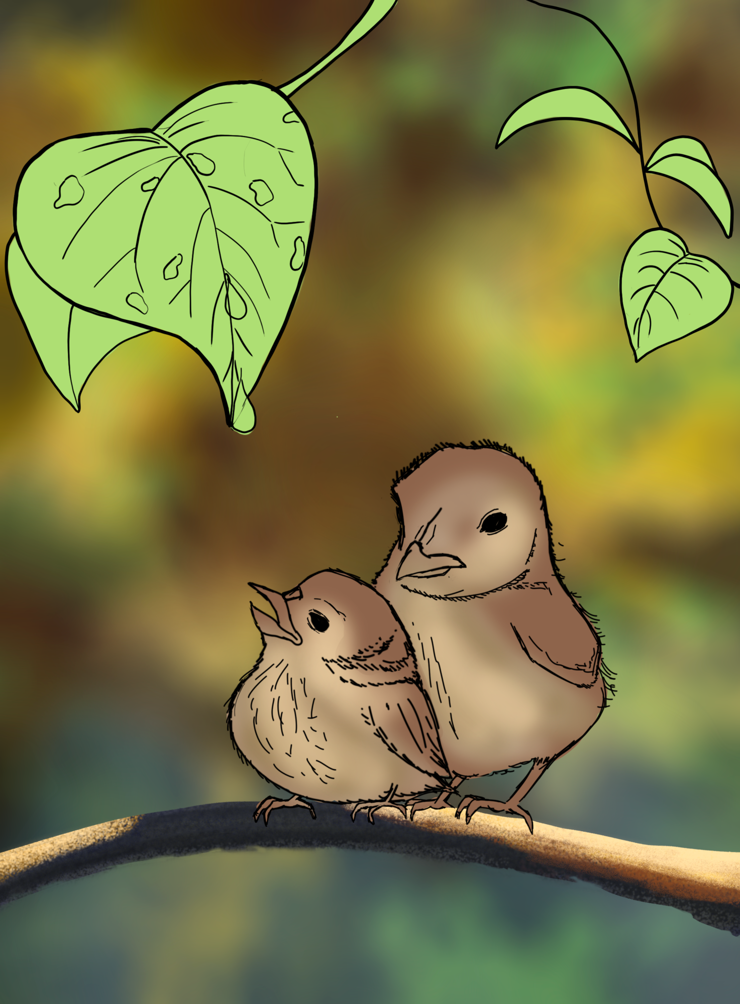 Oisillons coquis_katrielle.png