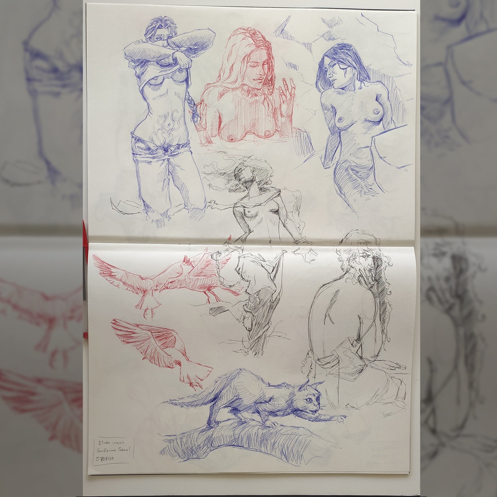 p3 Guillaume Sorel.jpg