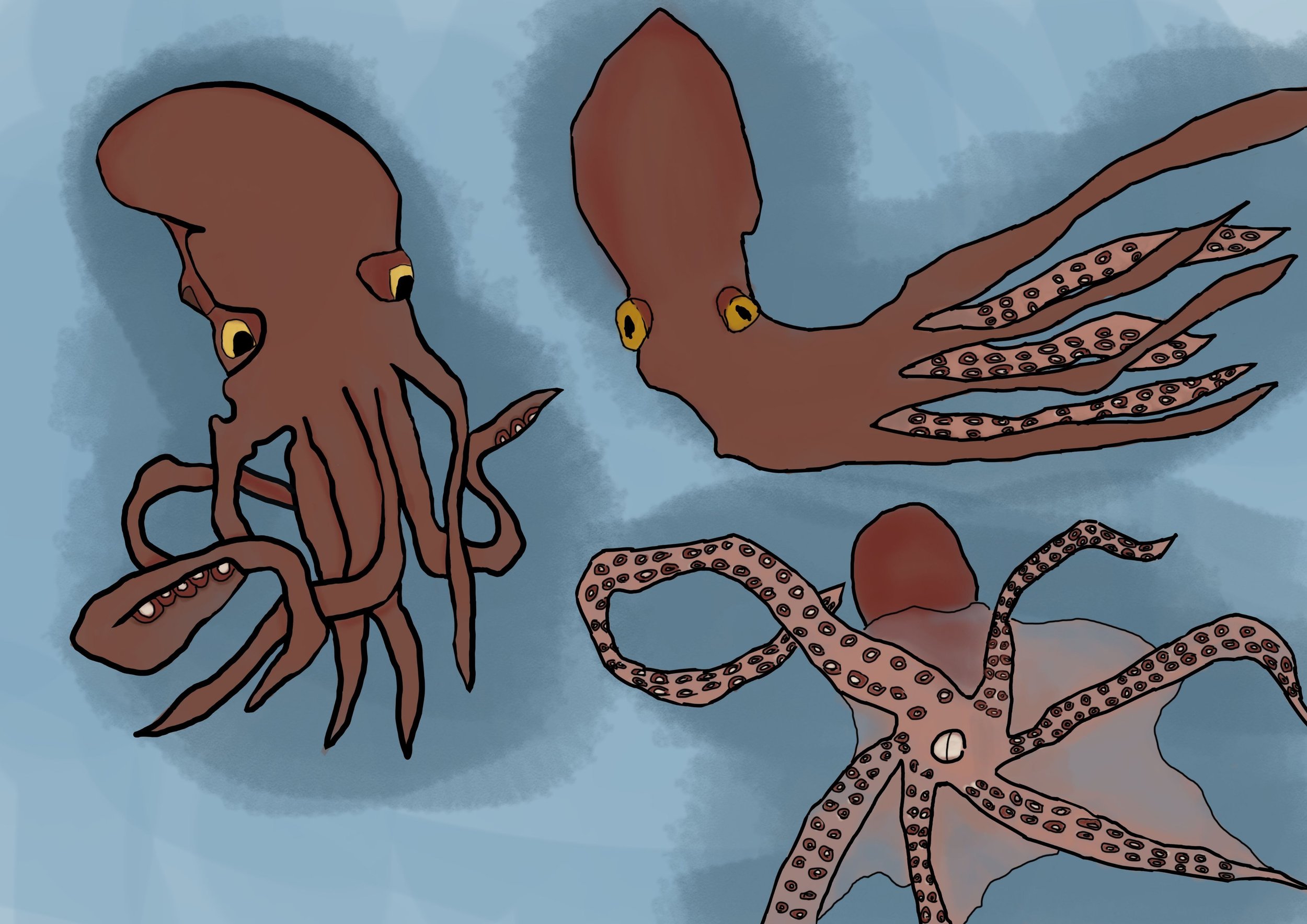 croquis pieuvre.jpg