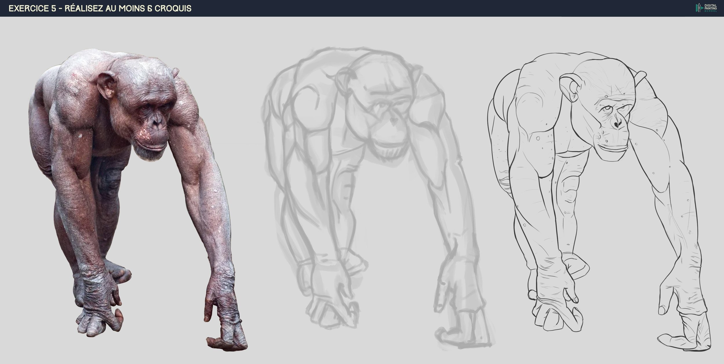 DPS-Prog-1-2-exercice5 Monkey.jpg