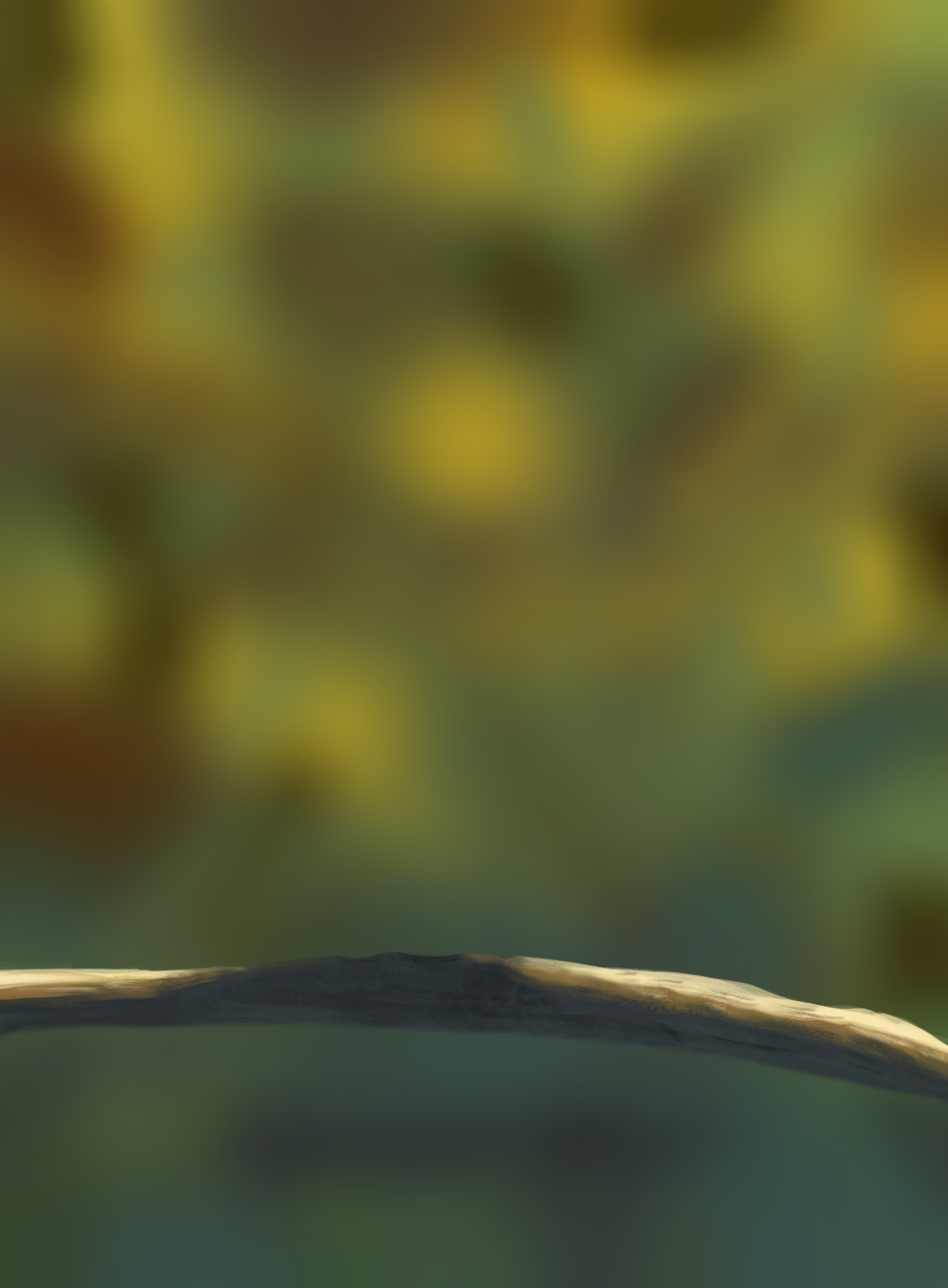 DPS Prog-1-1-Exercice5-Oiseau-Commencement 20-09-21.png