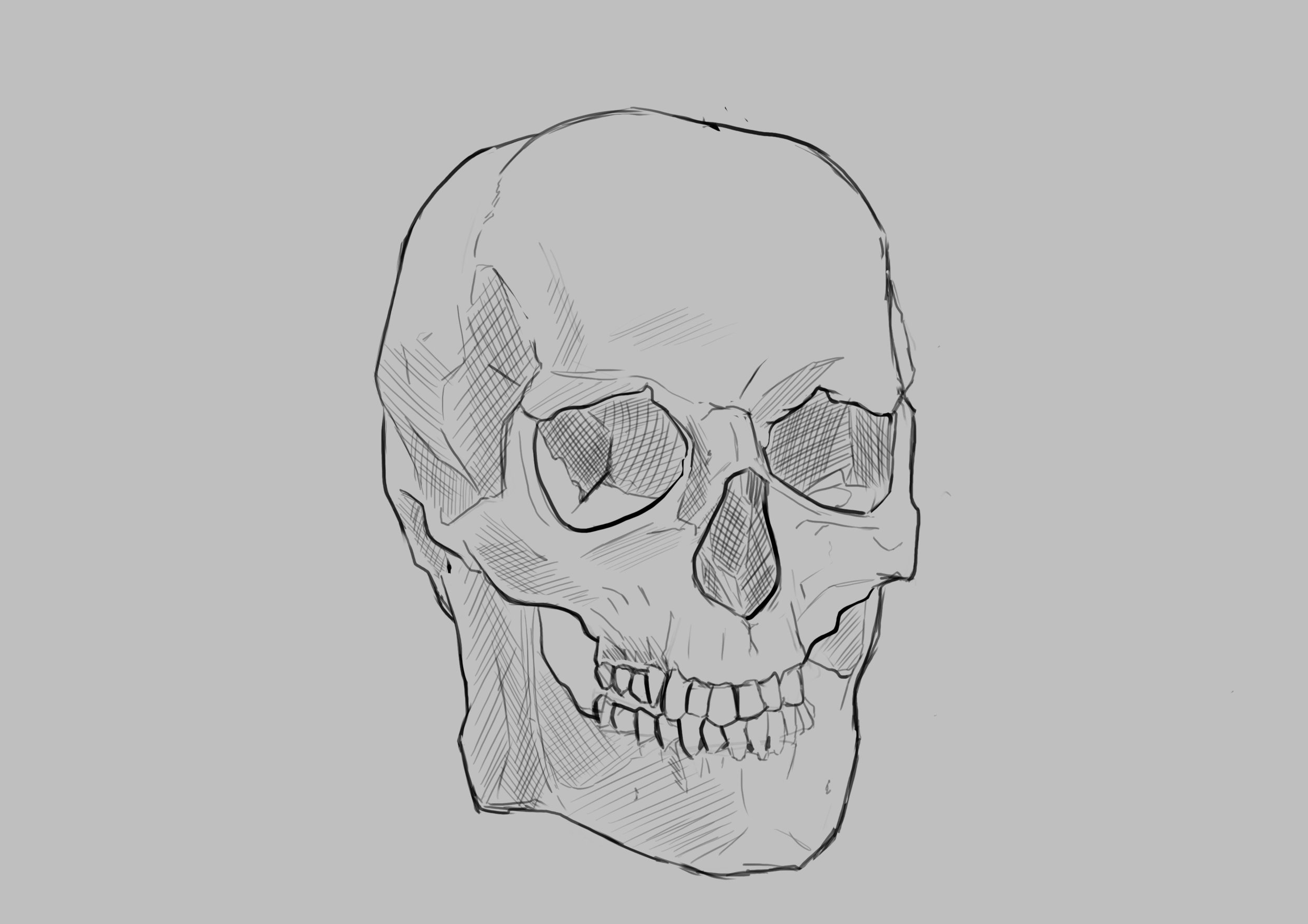 SKULL EXERCICE 4.jpg