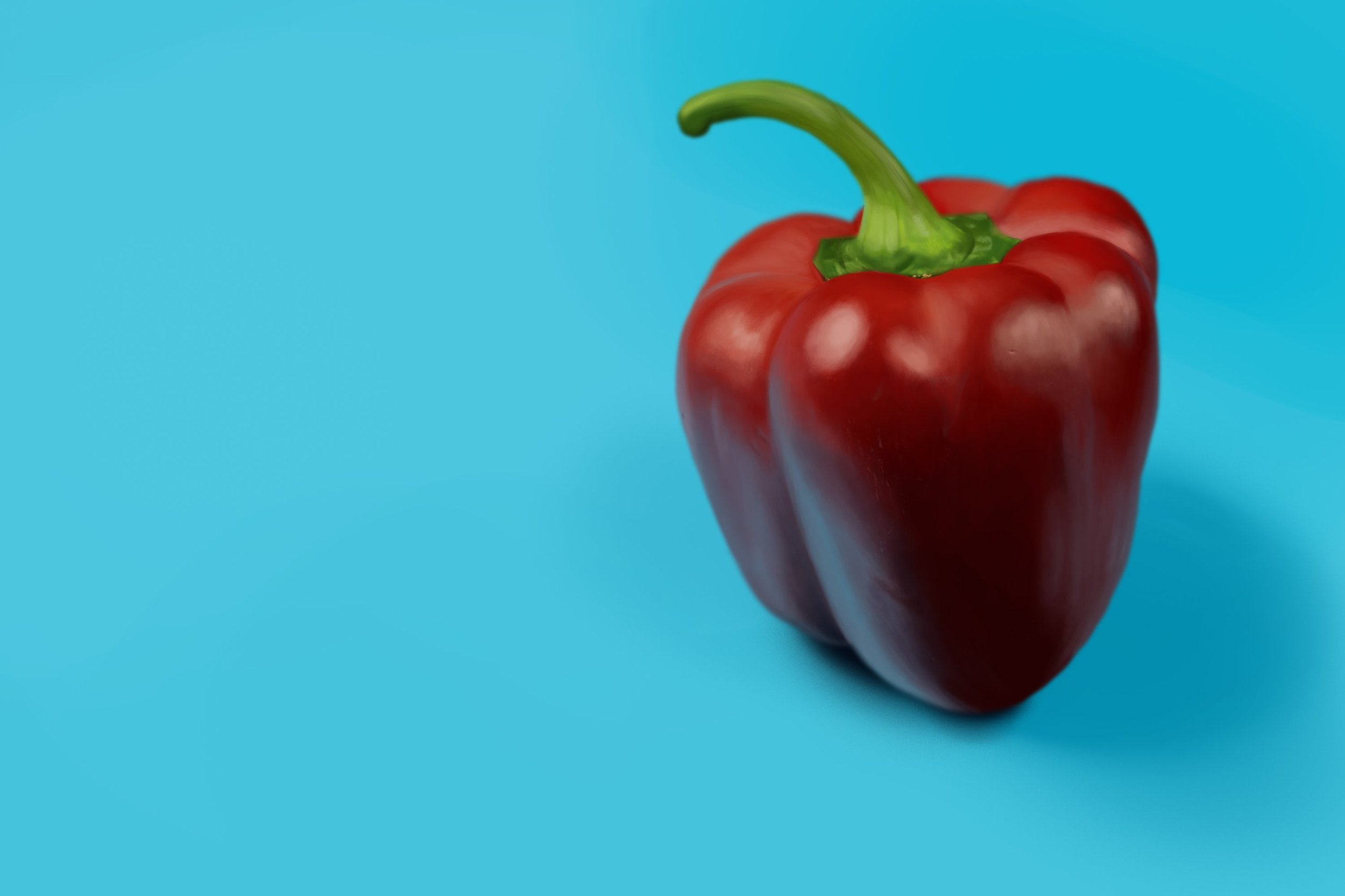 Exercice4-etude-photo1 - fin.jpg