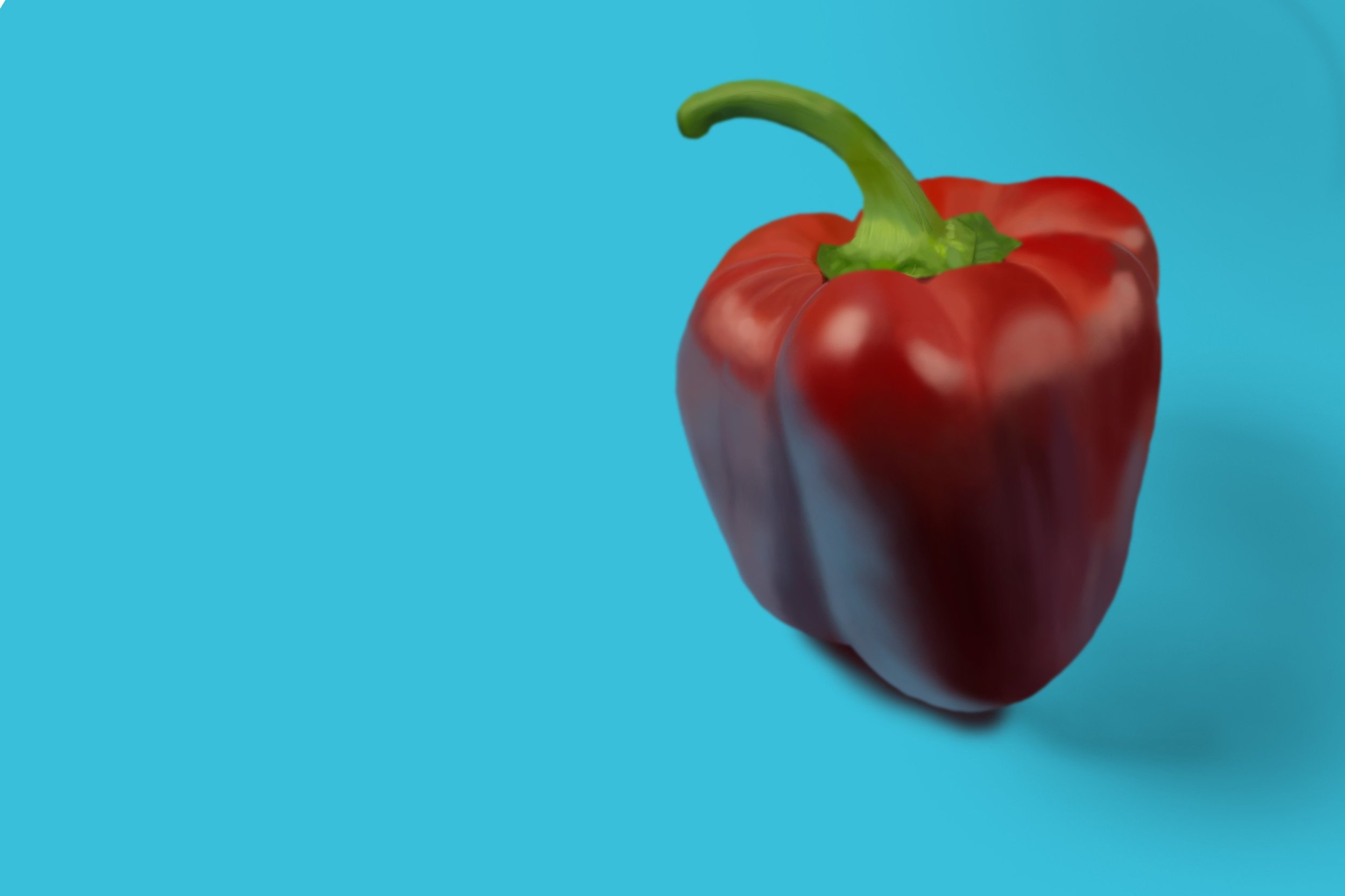 Exercice4-etude-photo1 copie.jpg