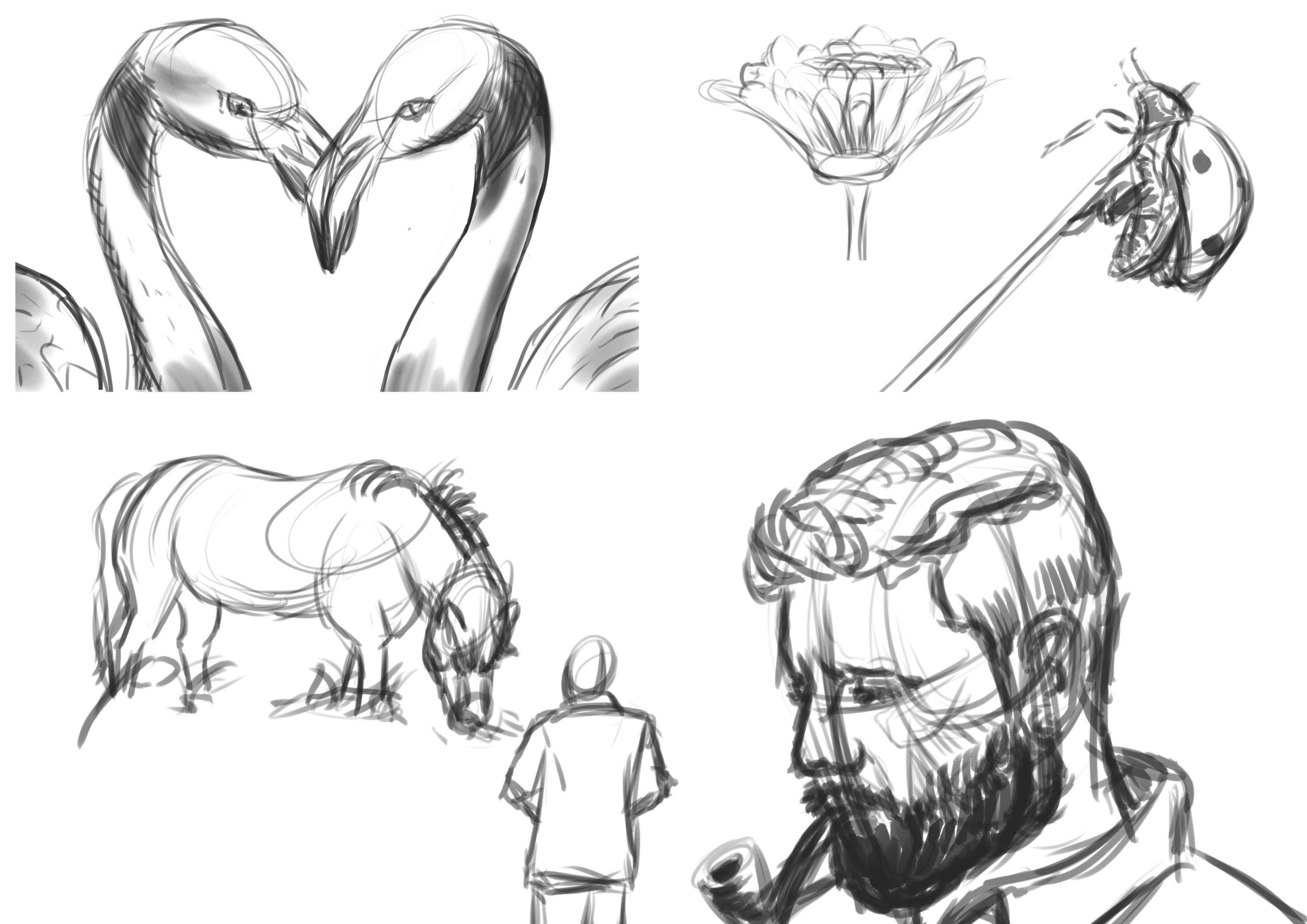 croquis exercice.jpg