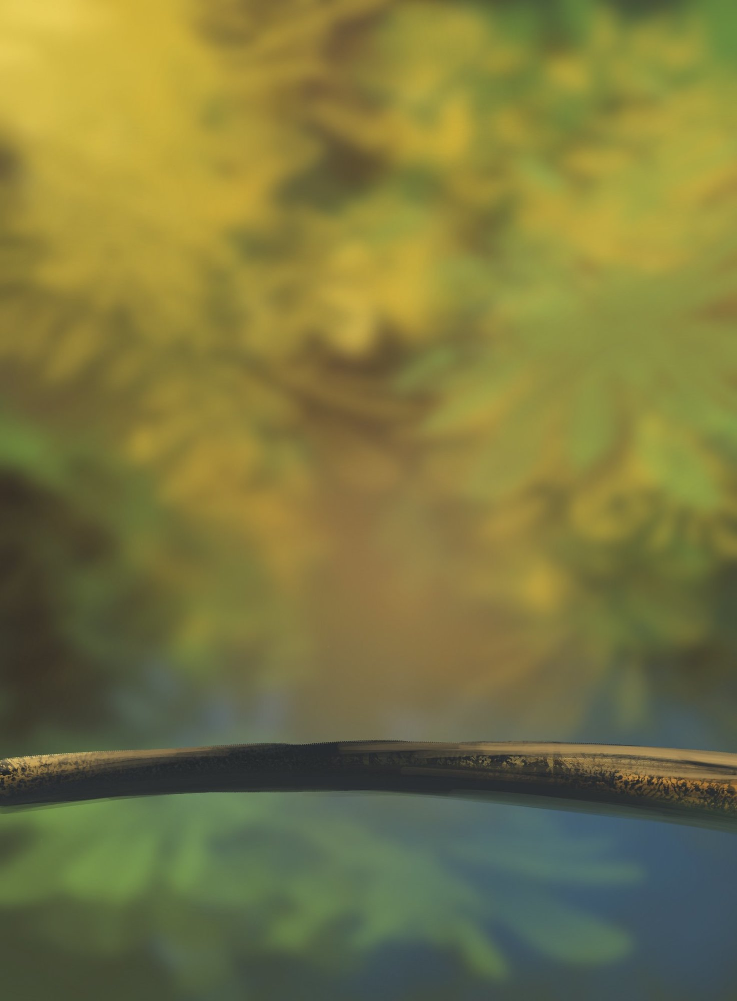 DPS 1 Fond pour les piafs.jpg