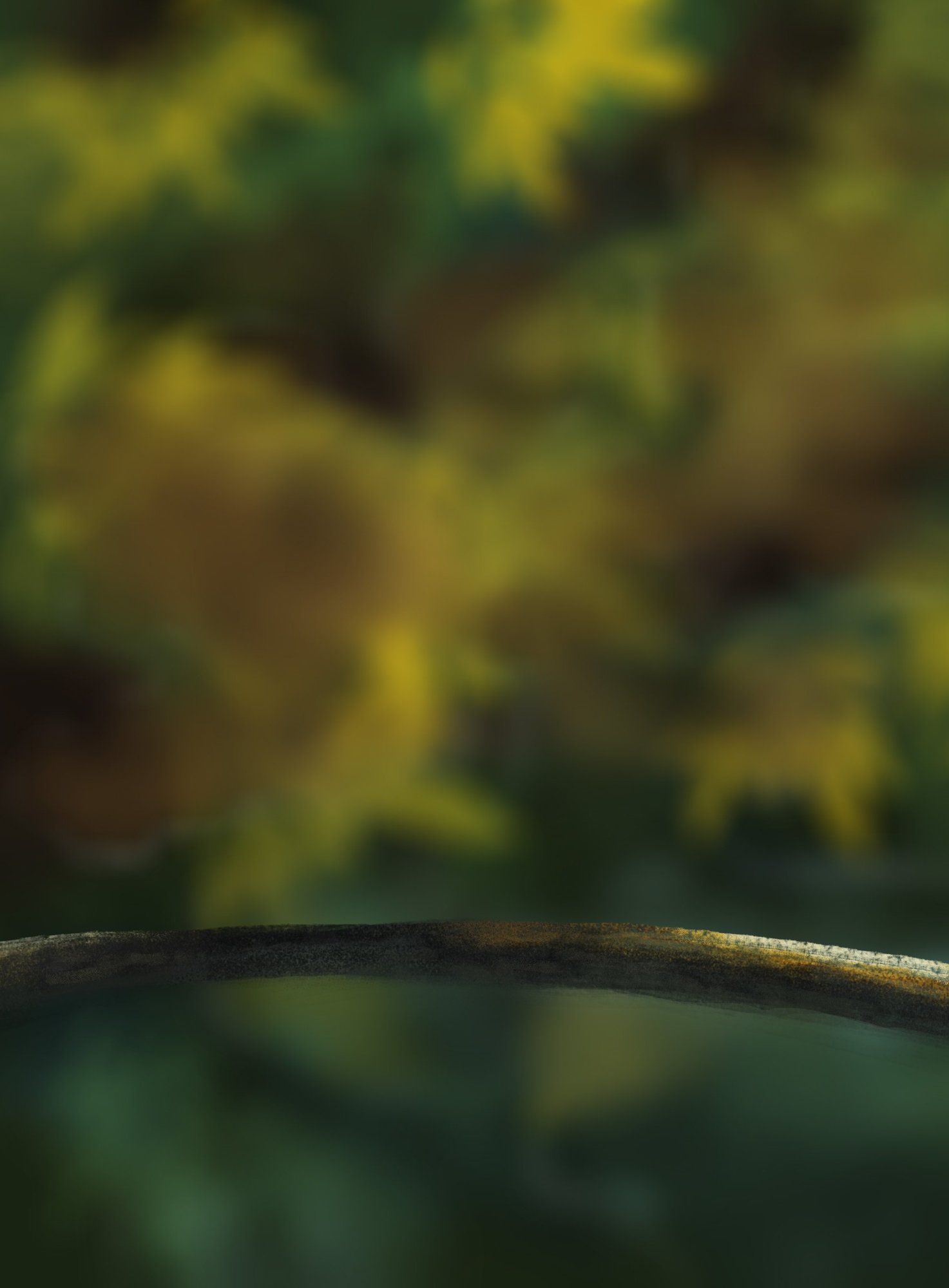 DPS Prog-1-1-Exercice5-Oiseau-Commencement.jpg