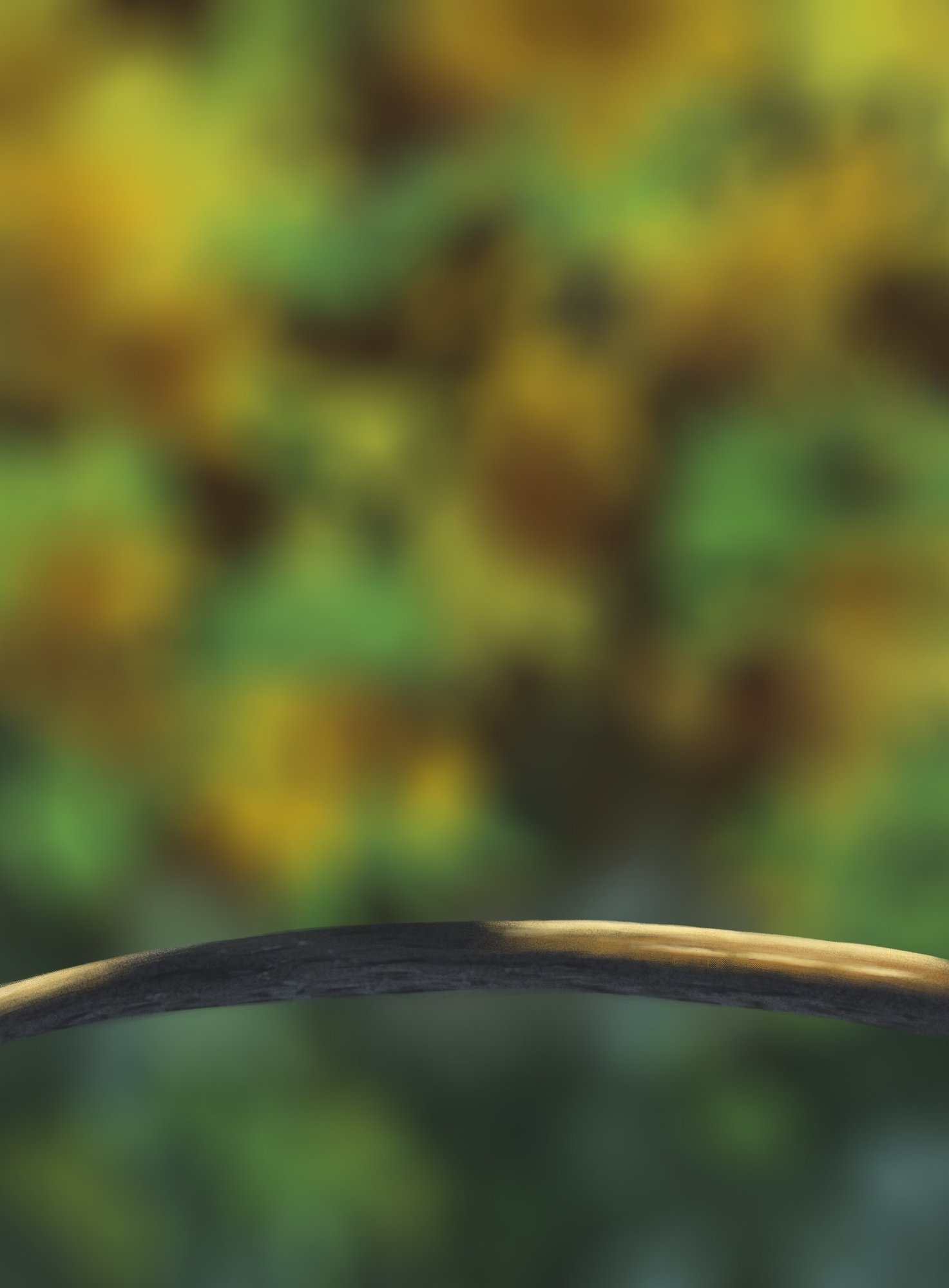 DPS Prog-1-1-Exercice5-Oiseau-Commencement.jpg