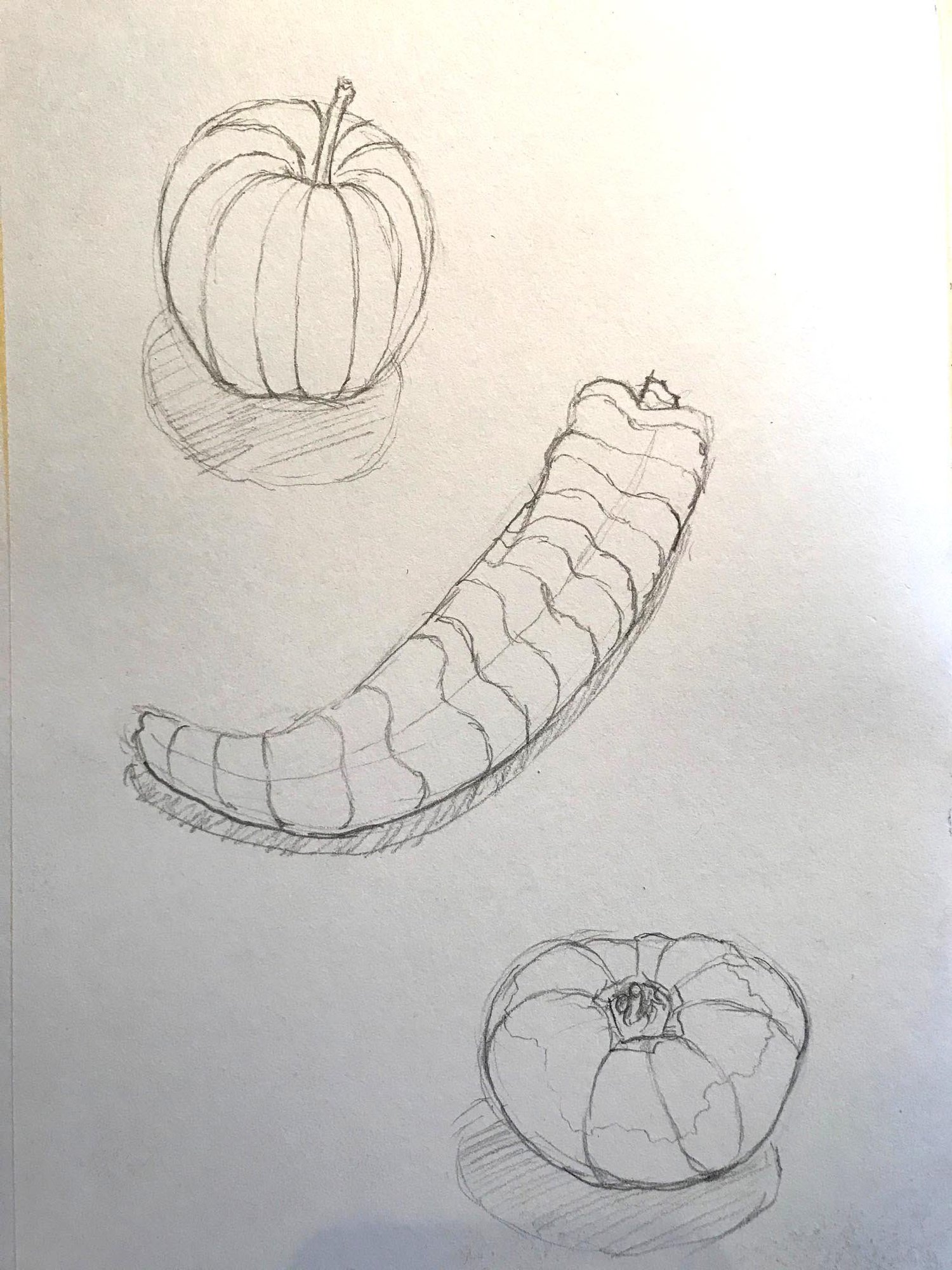 fruit et légumes alteruniverse.jpg