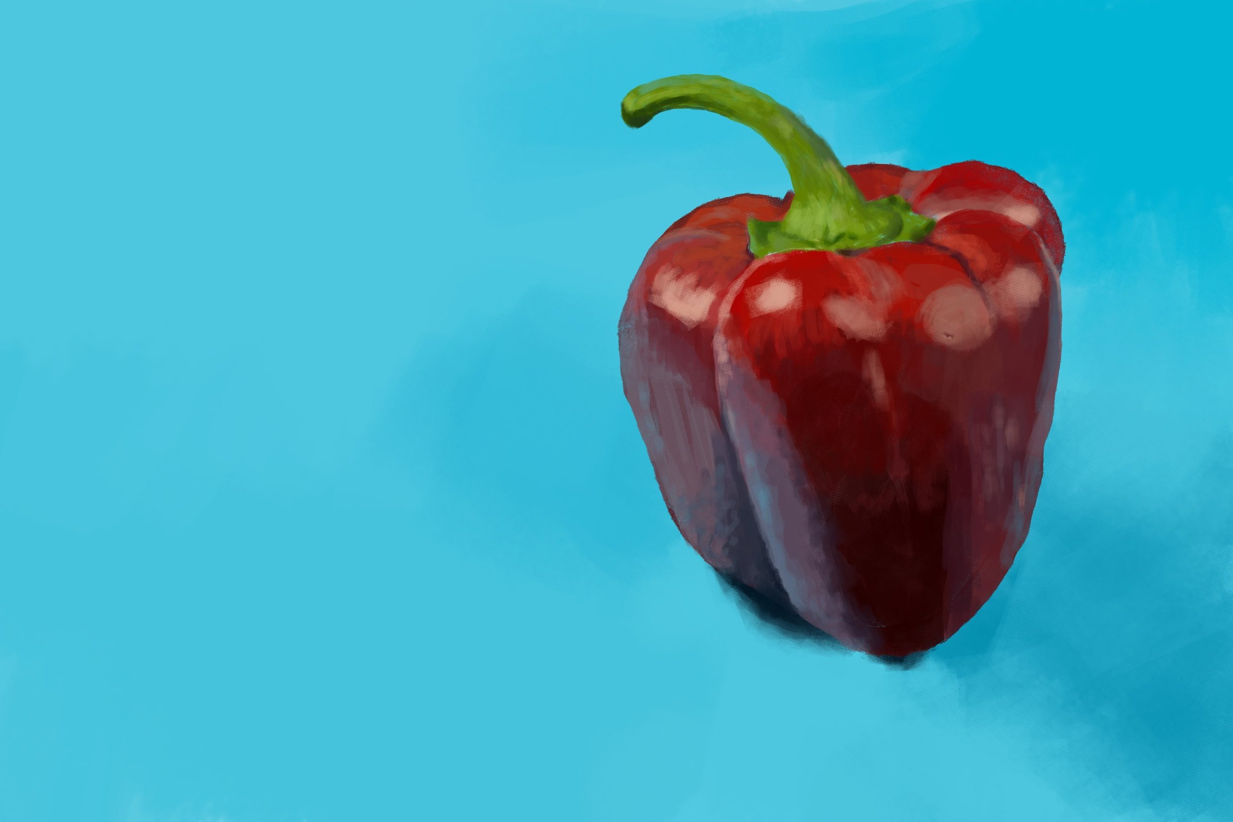 Exercice4-etude-photo 1.jpg