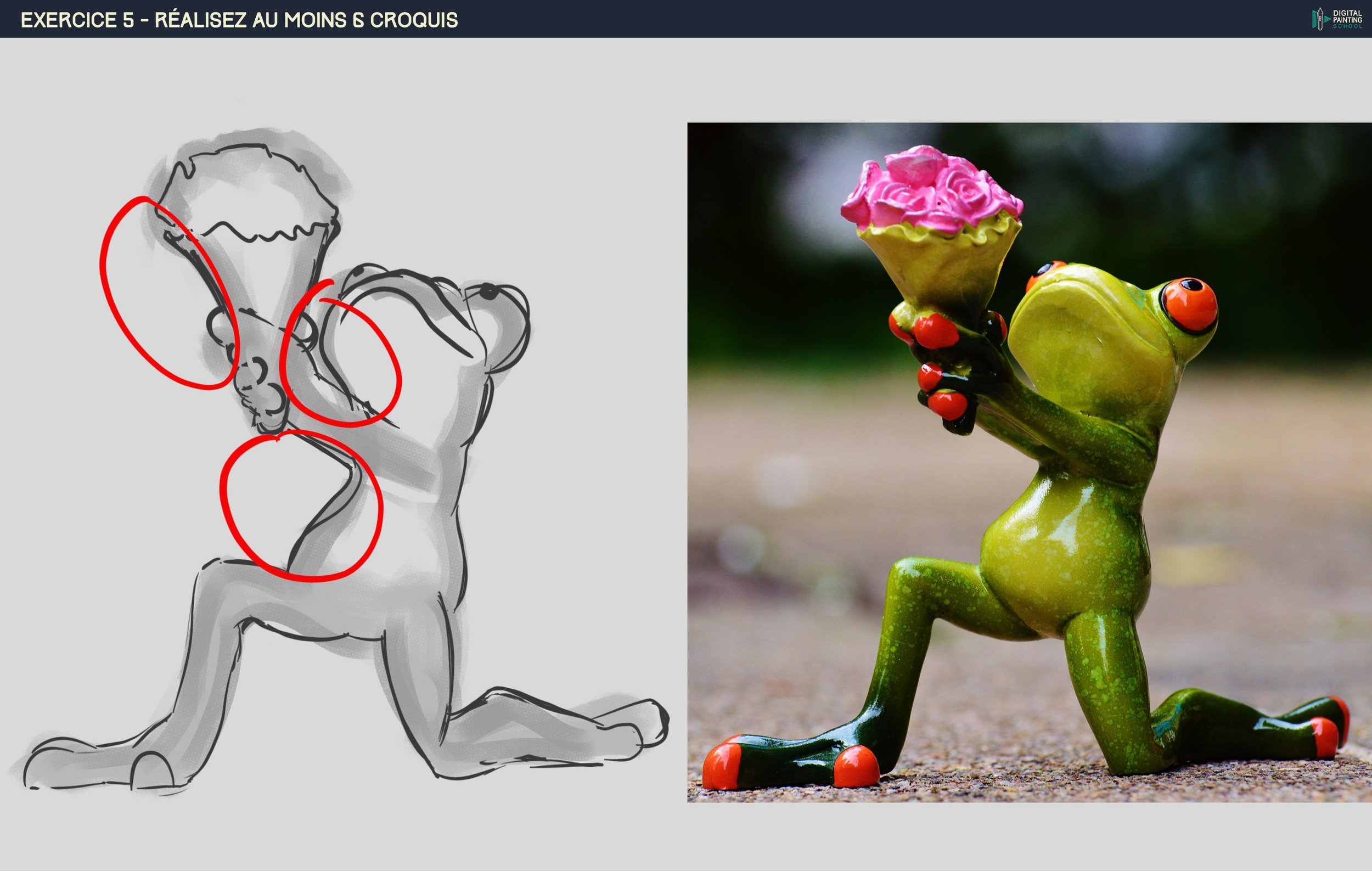 DPS-Prog-1-2-exercice5 frog.jpg