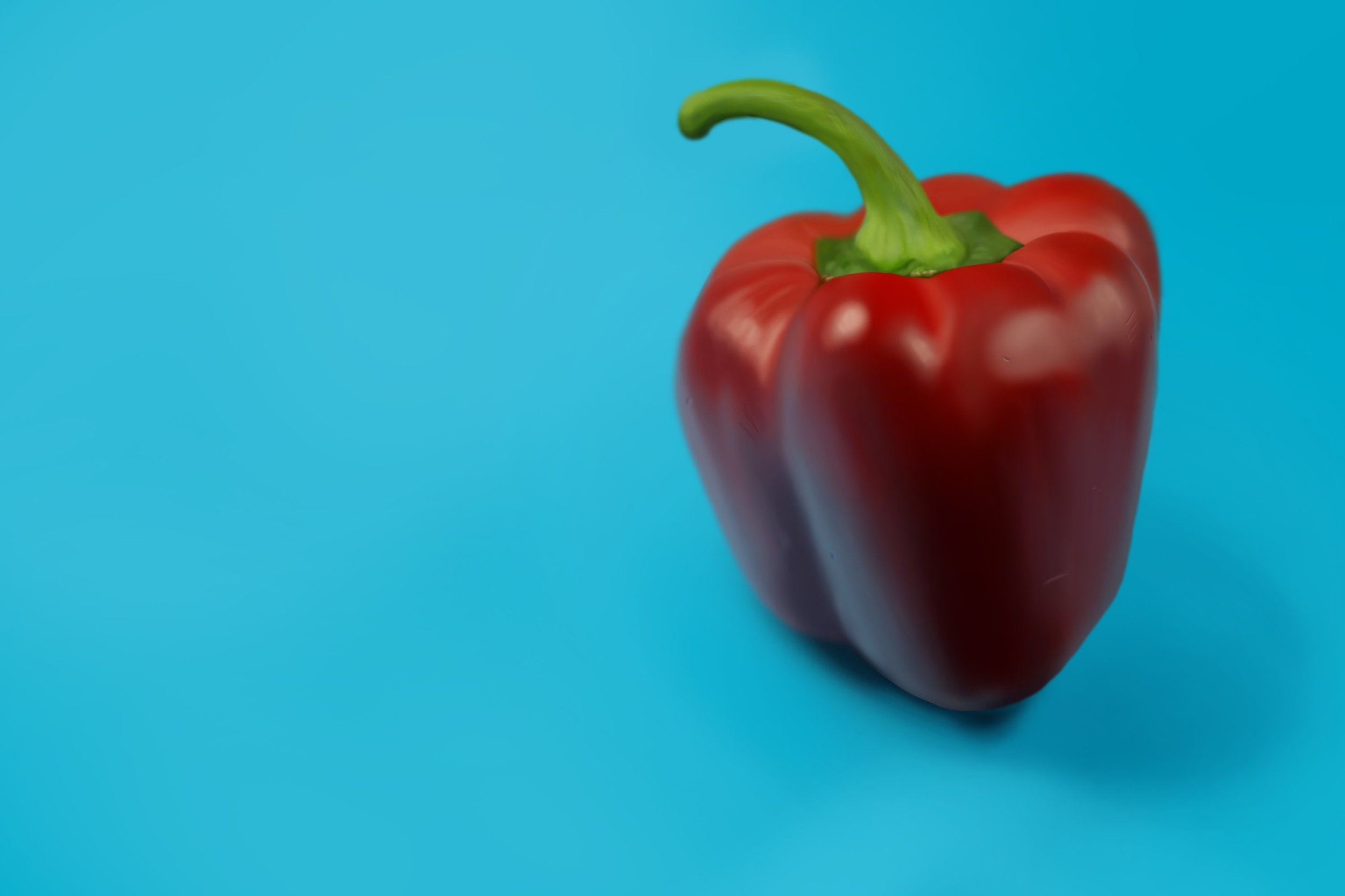 étude poivron 1.jpg