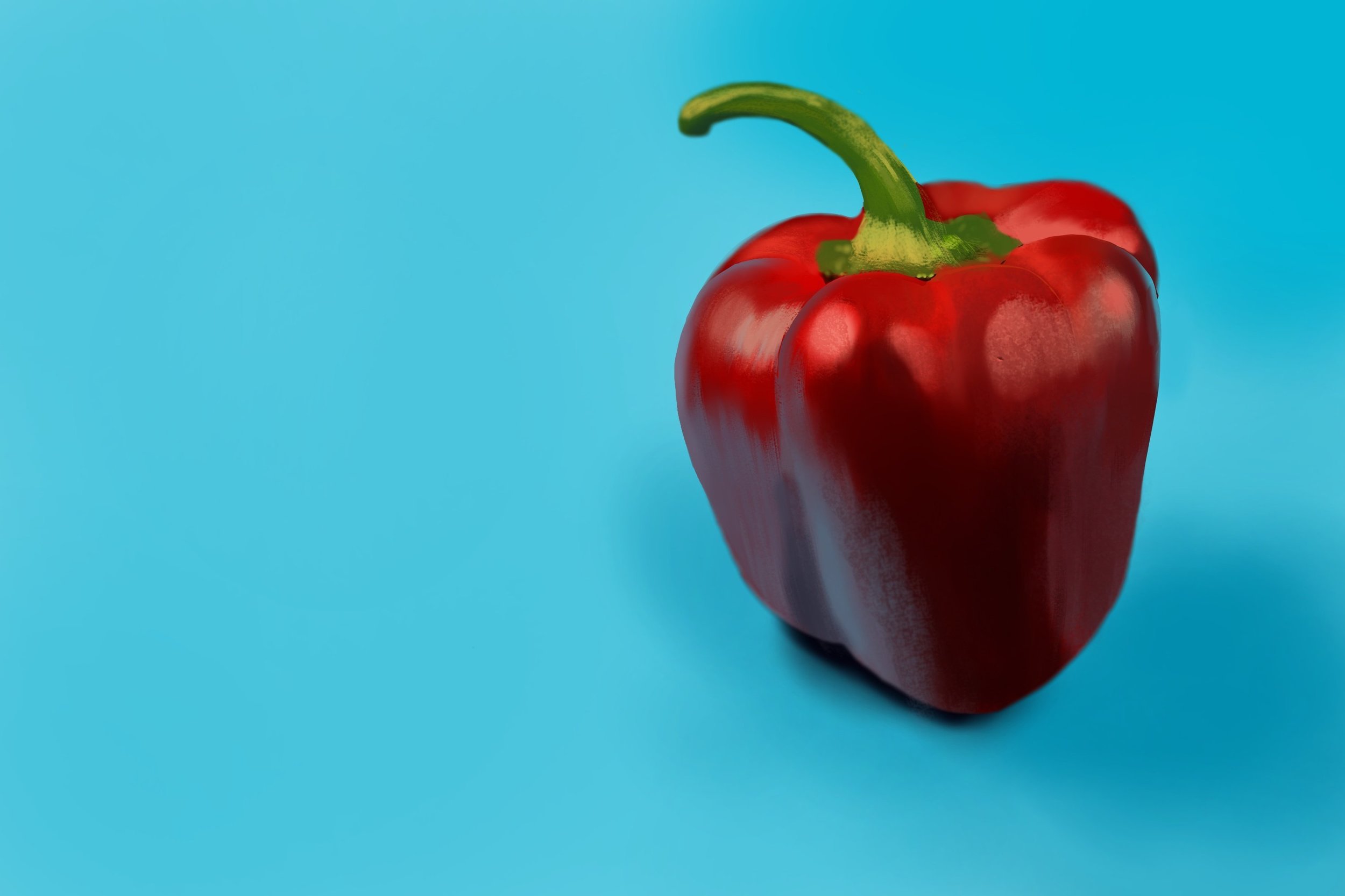 Exercice4-etude-photo1 check.jpg