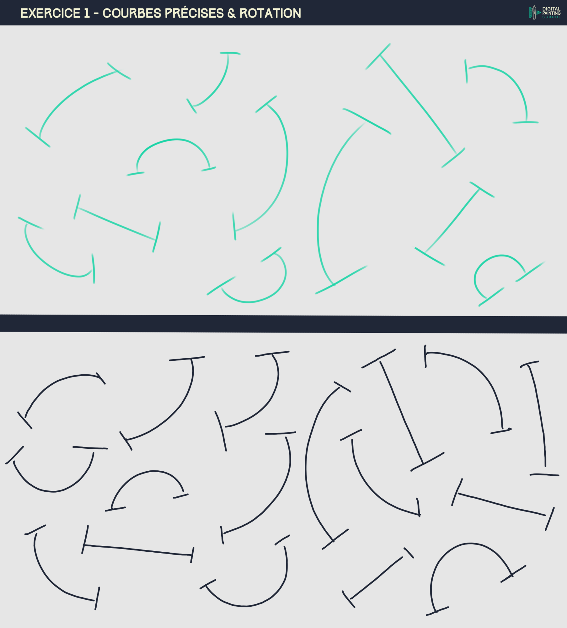 DPS-1-2-1-exercice_1 courbes précises.png