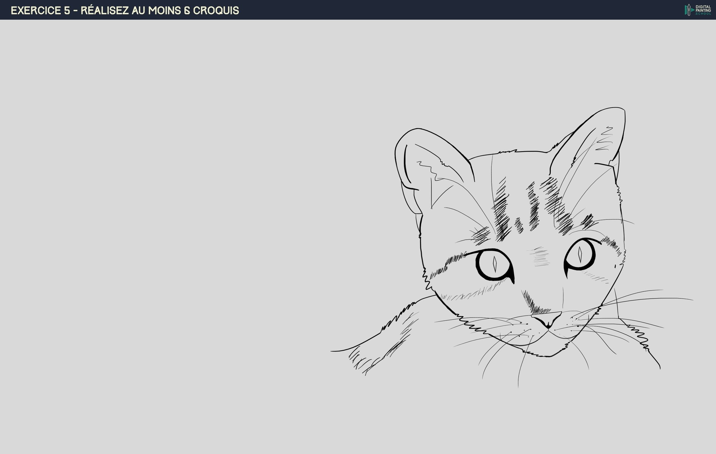 etude croquis chat.jpg
