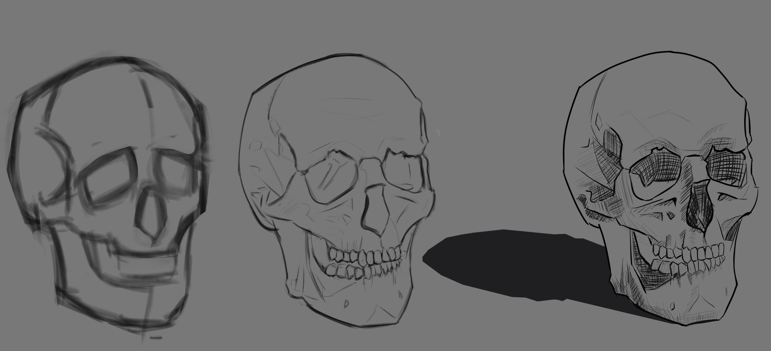 DPS-Prog-crâne 2.jpg