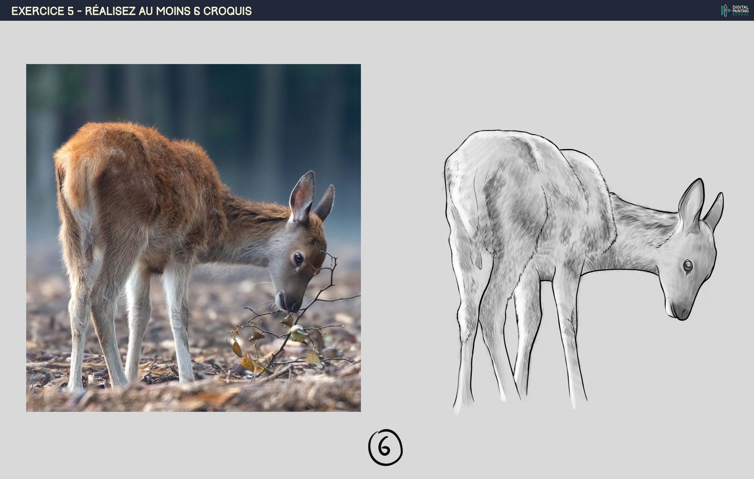 Exercice-5---Realiser-6-croquis-6.jpg