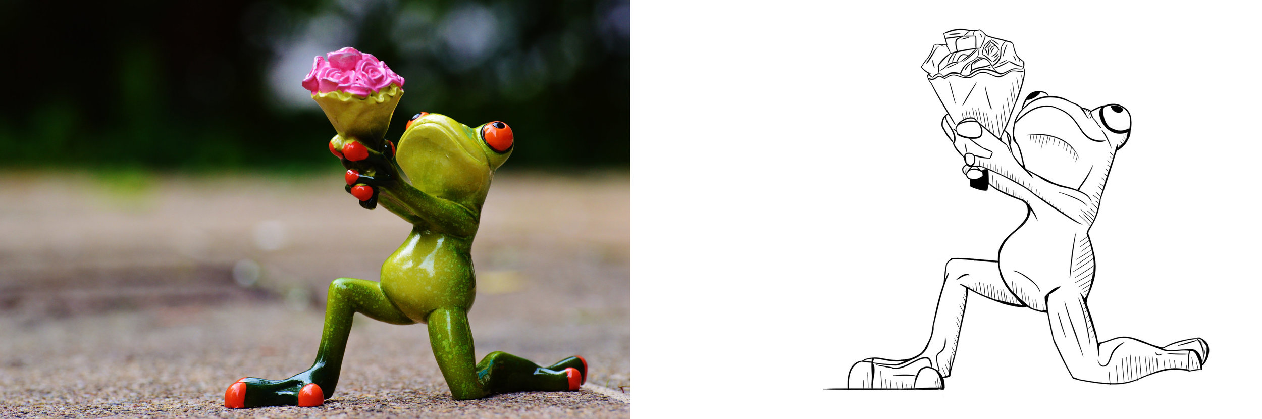 Exercice-5-grenouille.jpg