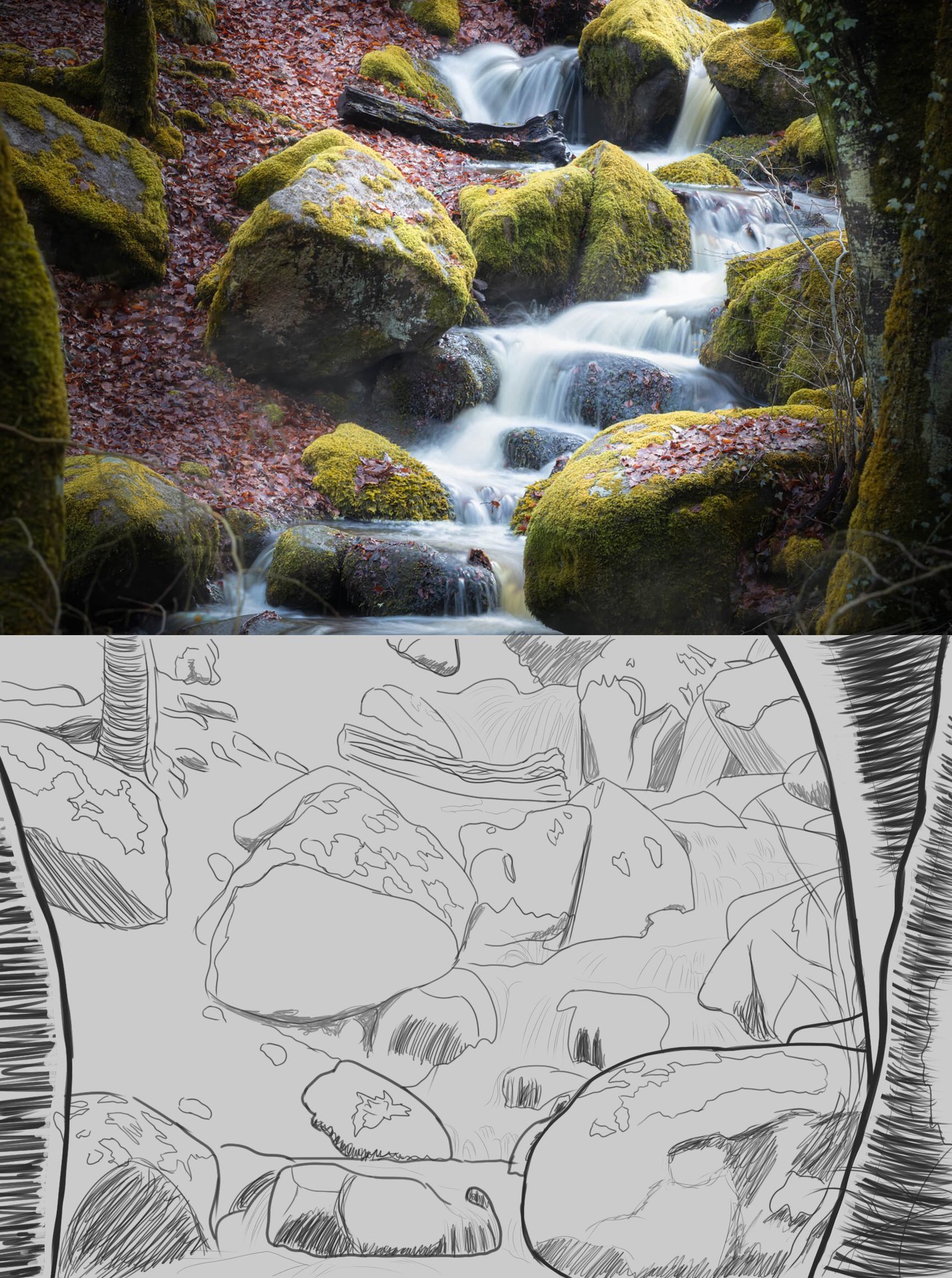 Fresh-Waterstream-croquis.jpg