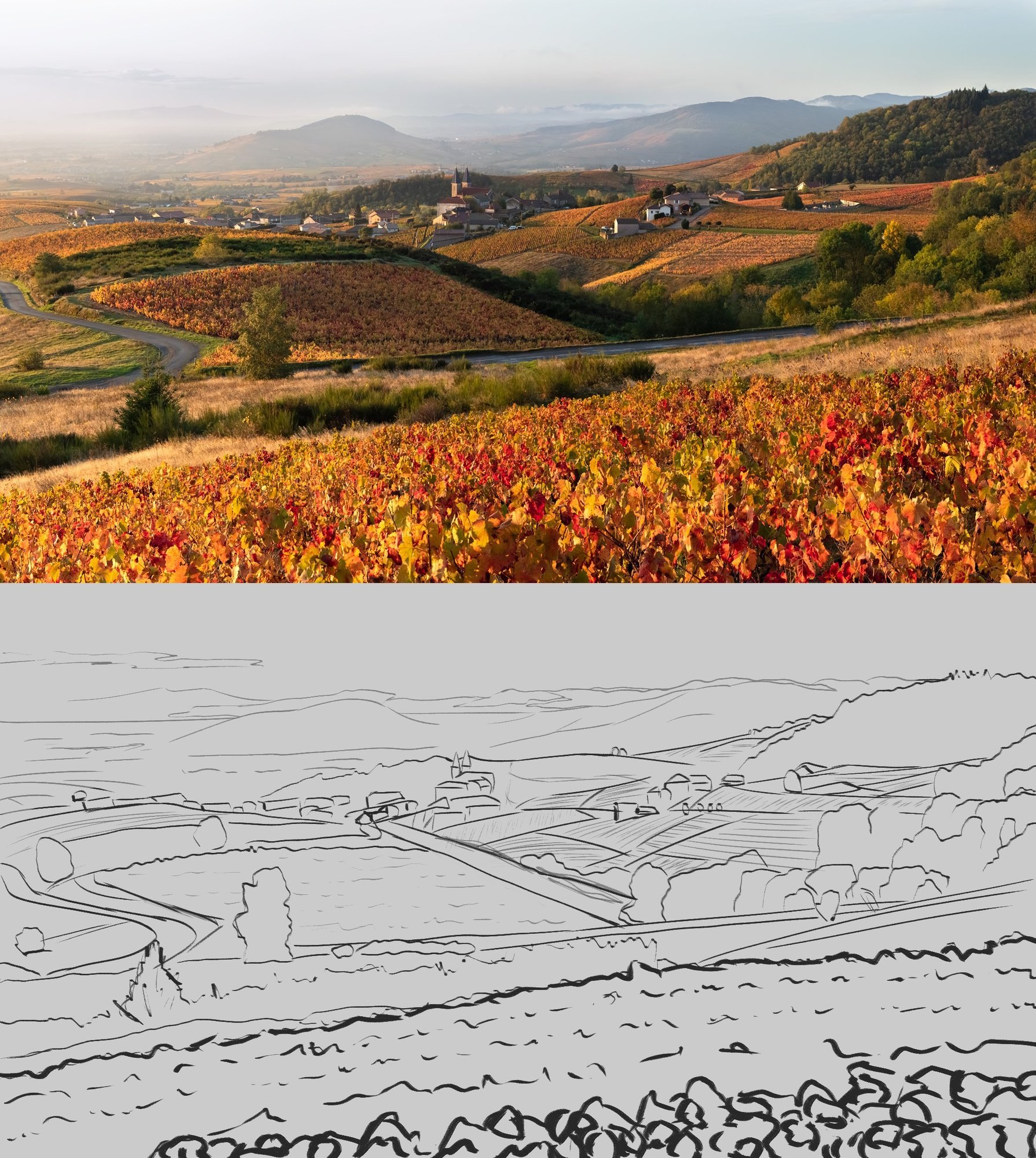 Golden-Beaujolais-croquis.jpg