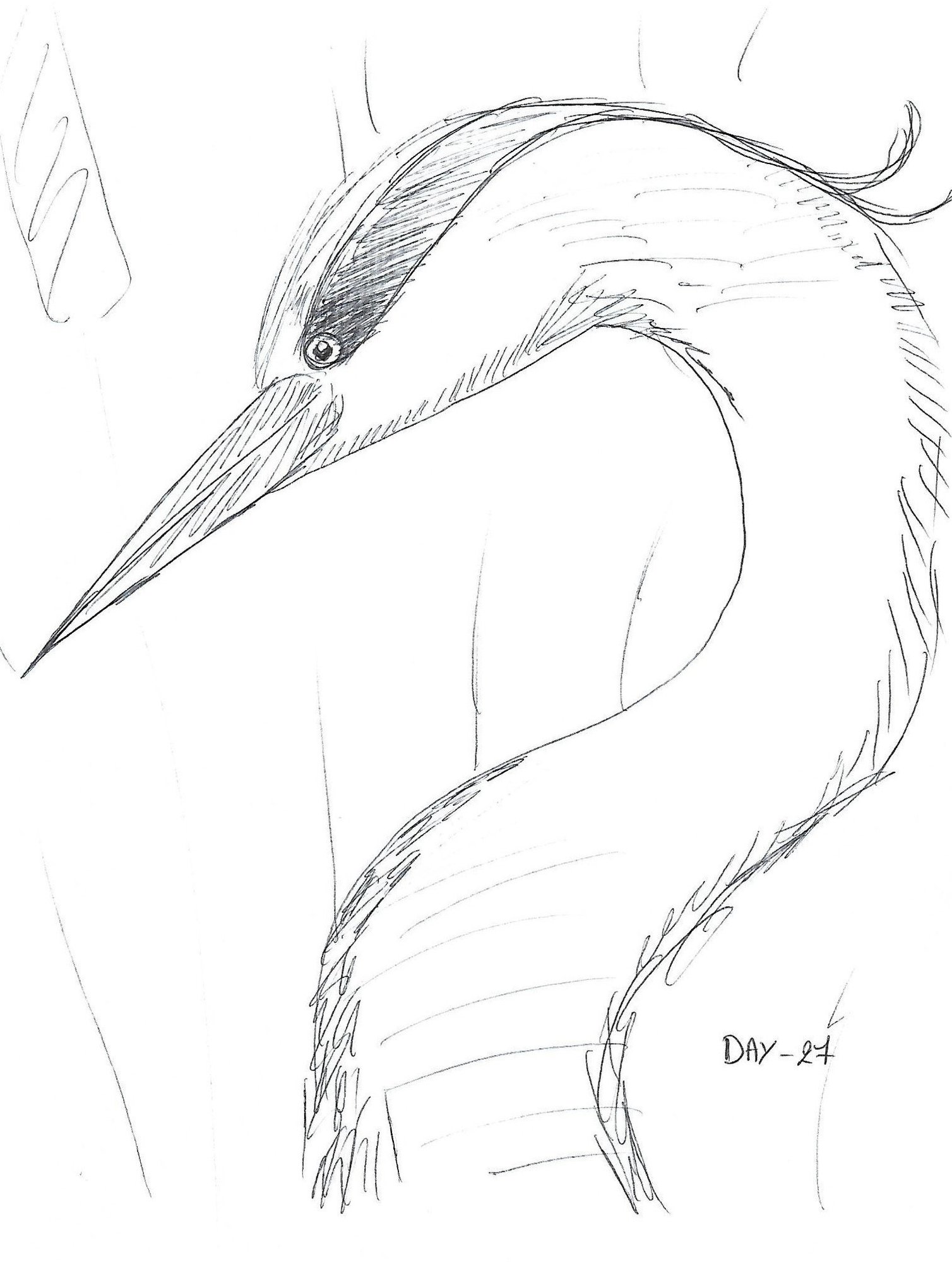 Heron_27_10_Rurukan.thumb.jpg.b34c693b9d2ca9024ac85c56d6a107b7.jpg
