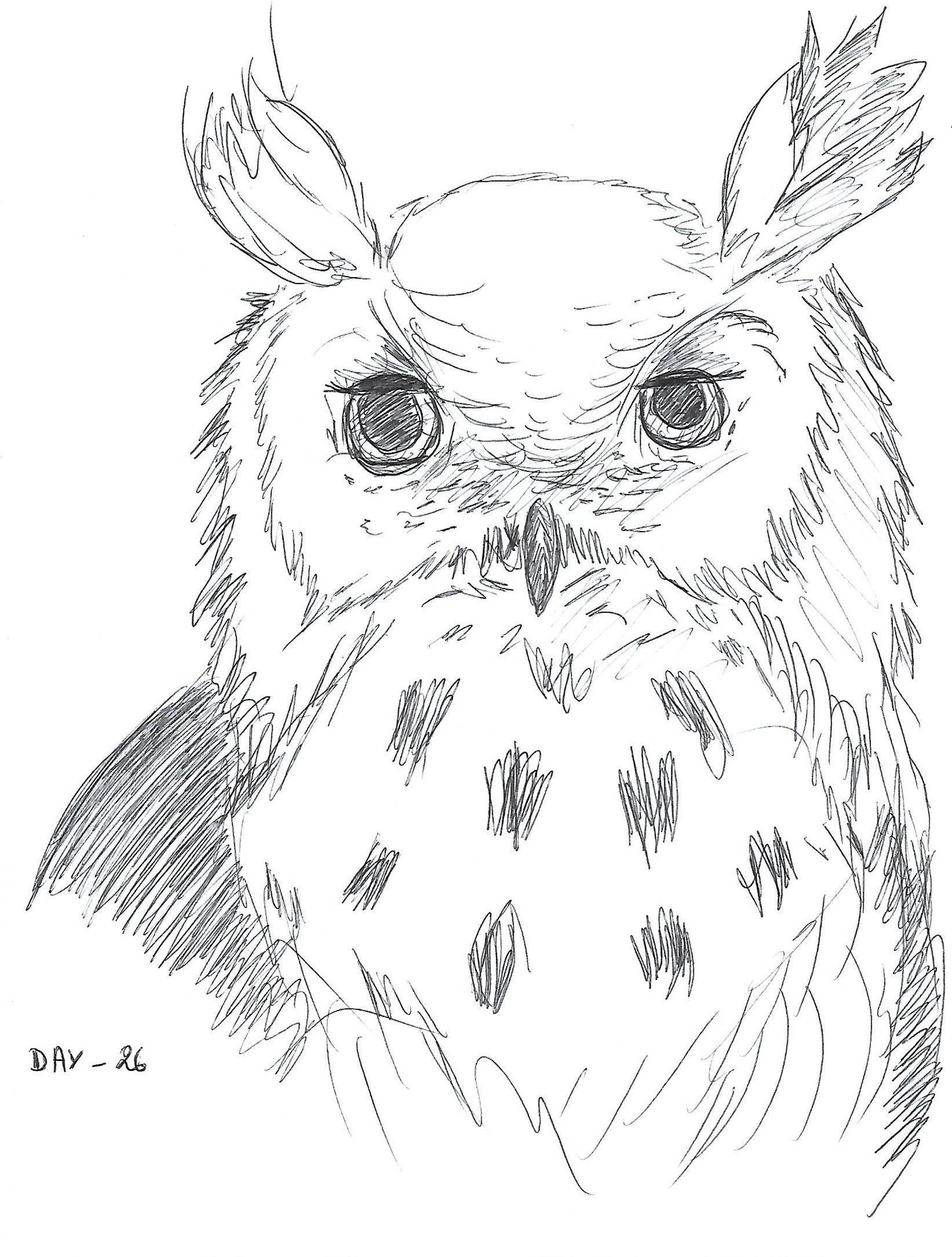 Hibou_26_10_Rurukan.thumb.jpg.ed6f60a0dbd24f3175ce5d21e93bd507.jpg