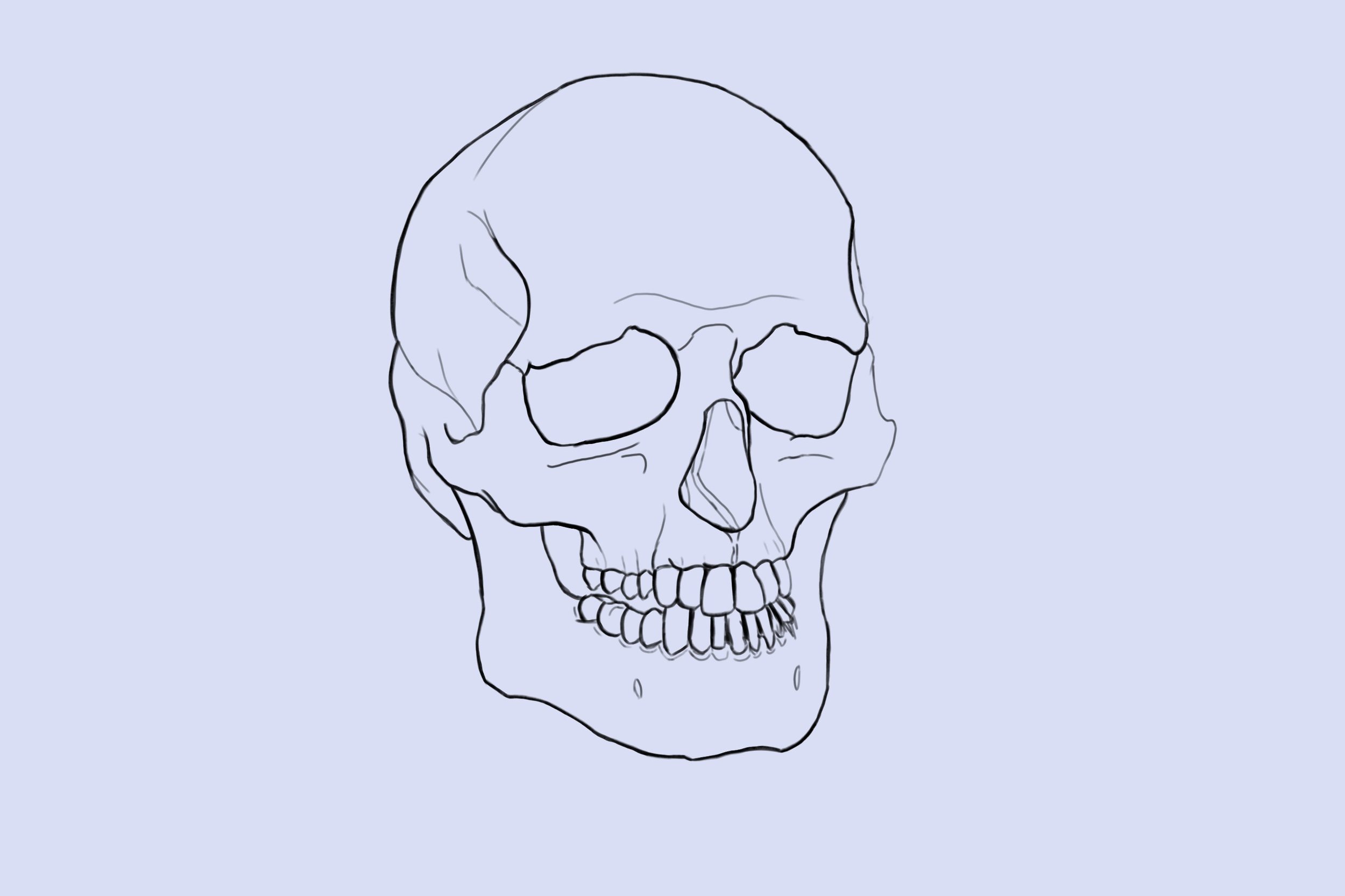 Croquis Crane avant correction.jpg