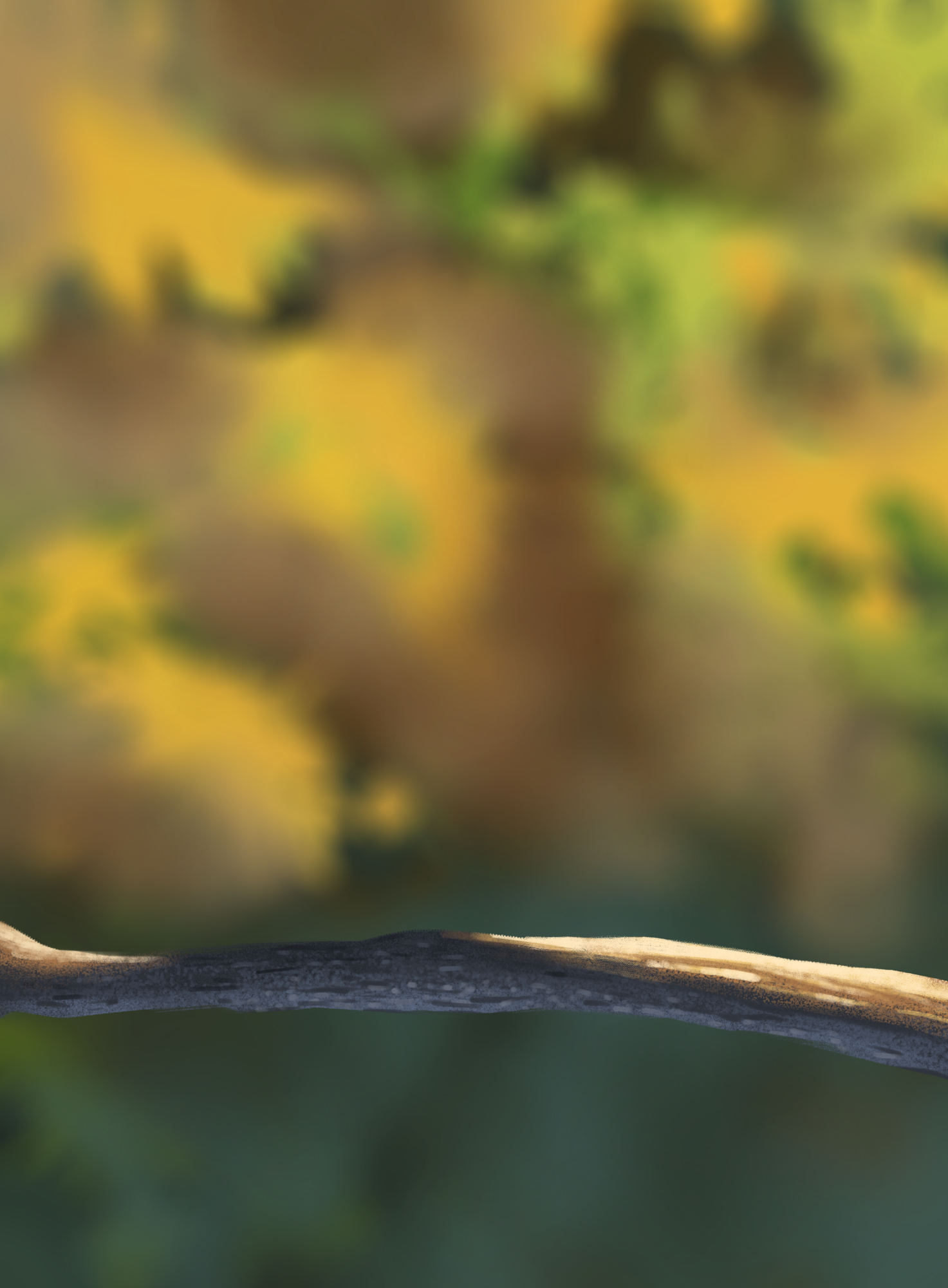 Exo 5 - Illustration des oisillions.png