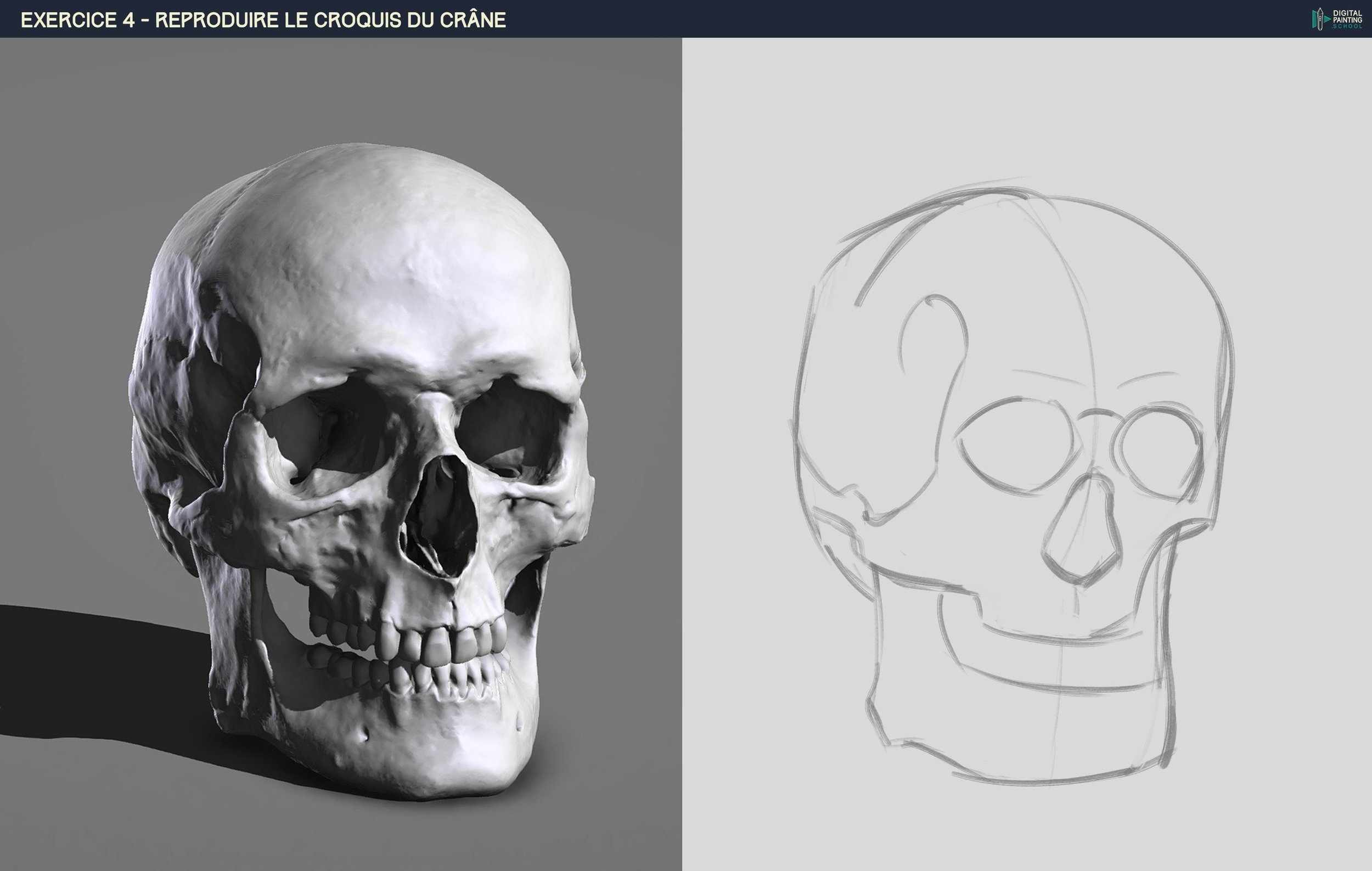 crane croquis 1ere etape.jpg