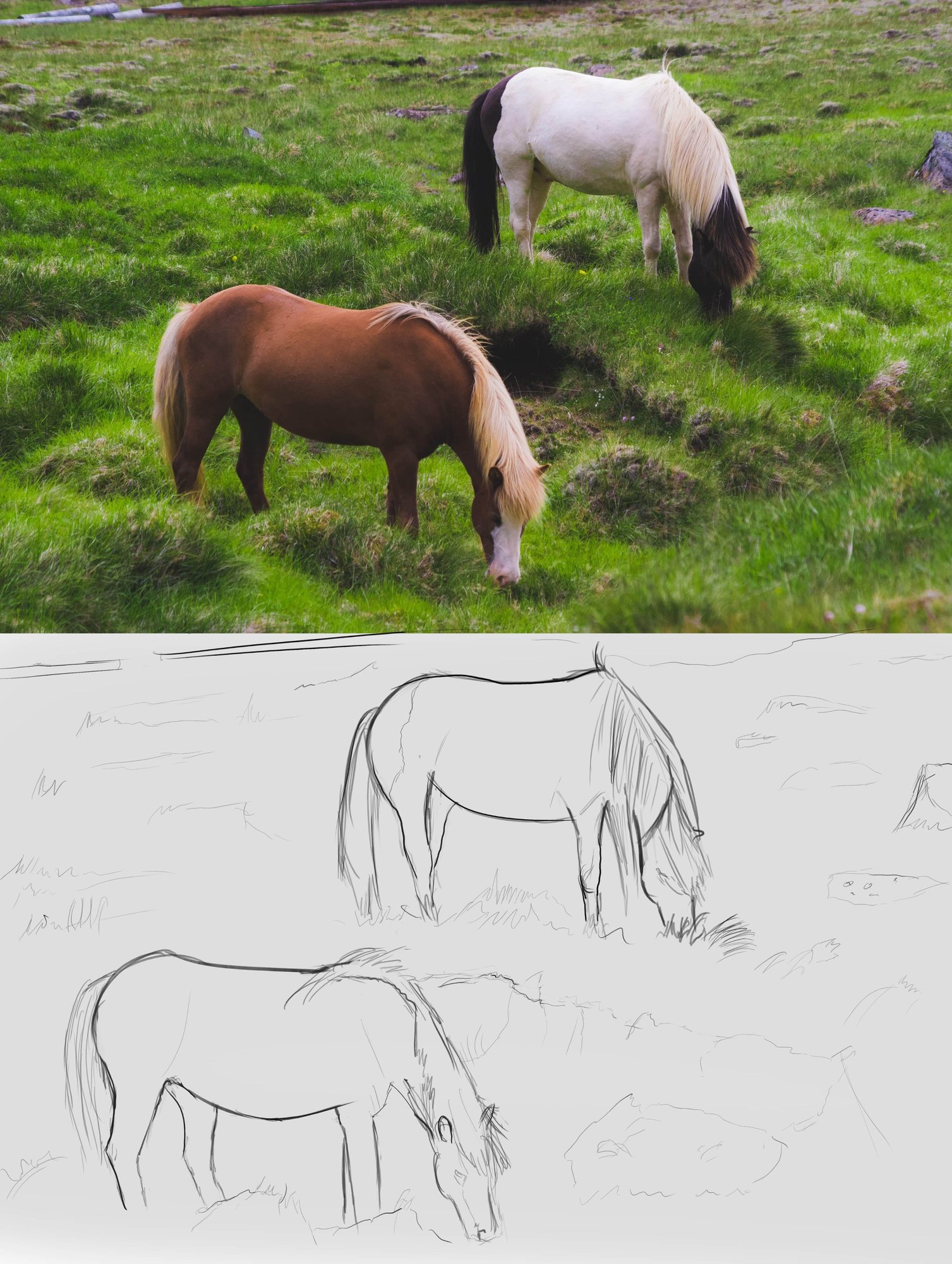 chevaux JPEG-min.jpg