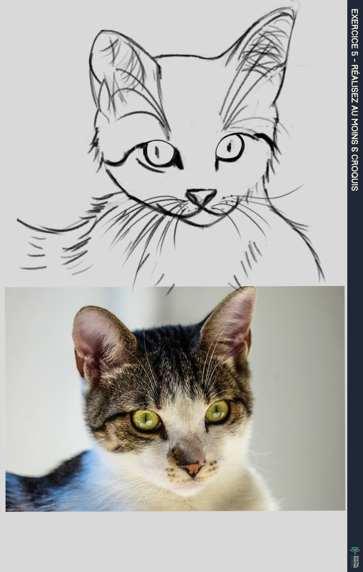 exercice 5 chat 2.jpg