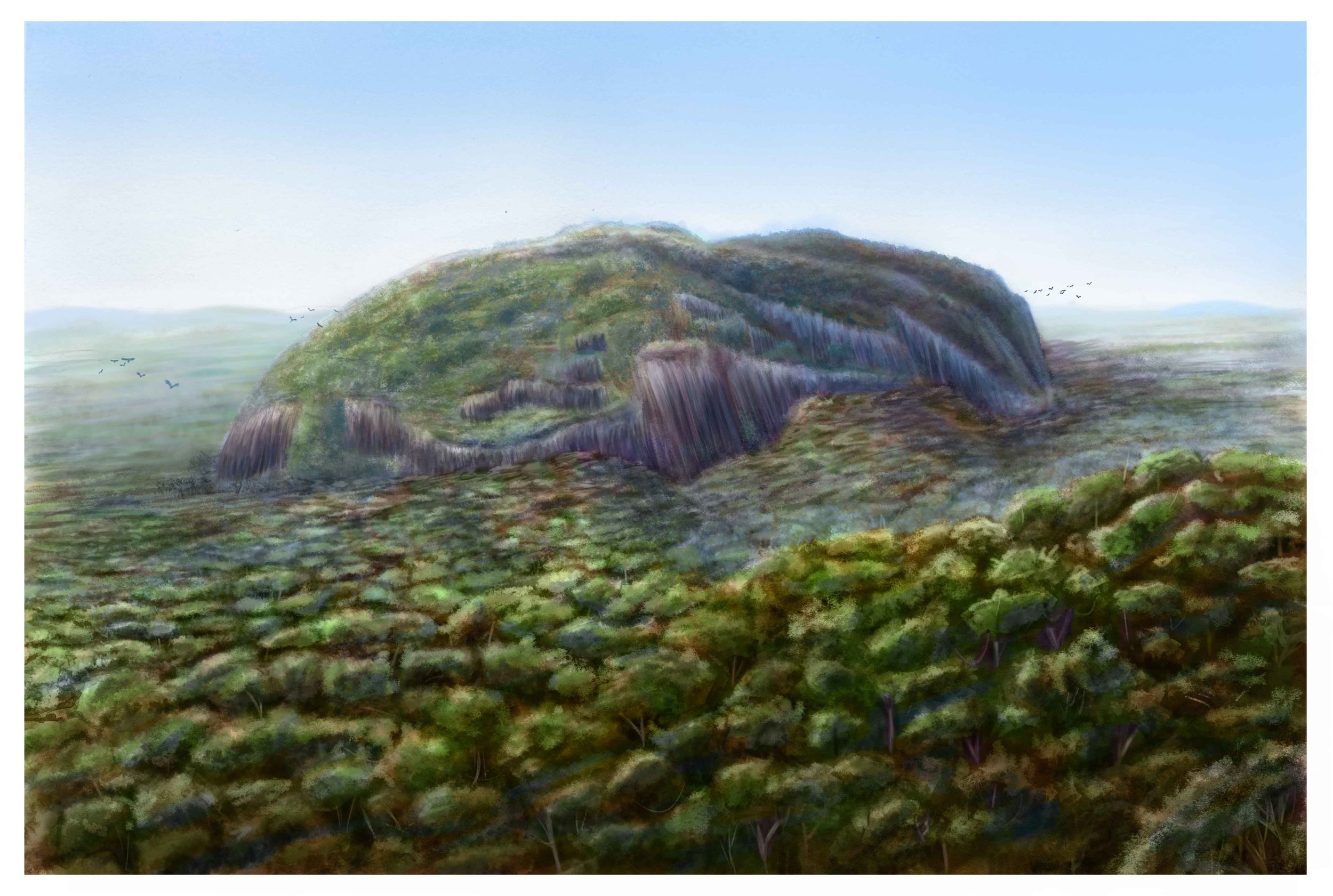 roche benitier - Dorian NOEL 2021 comp.jpg