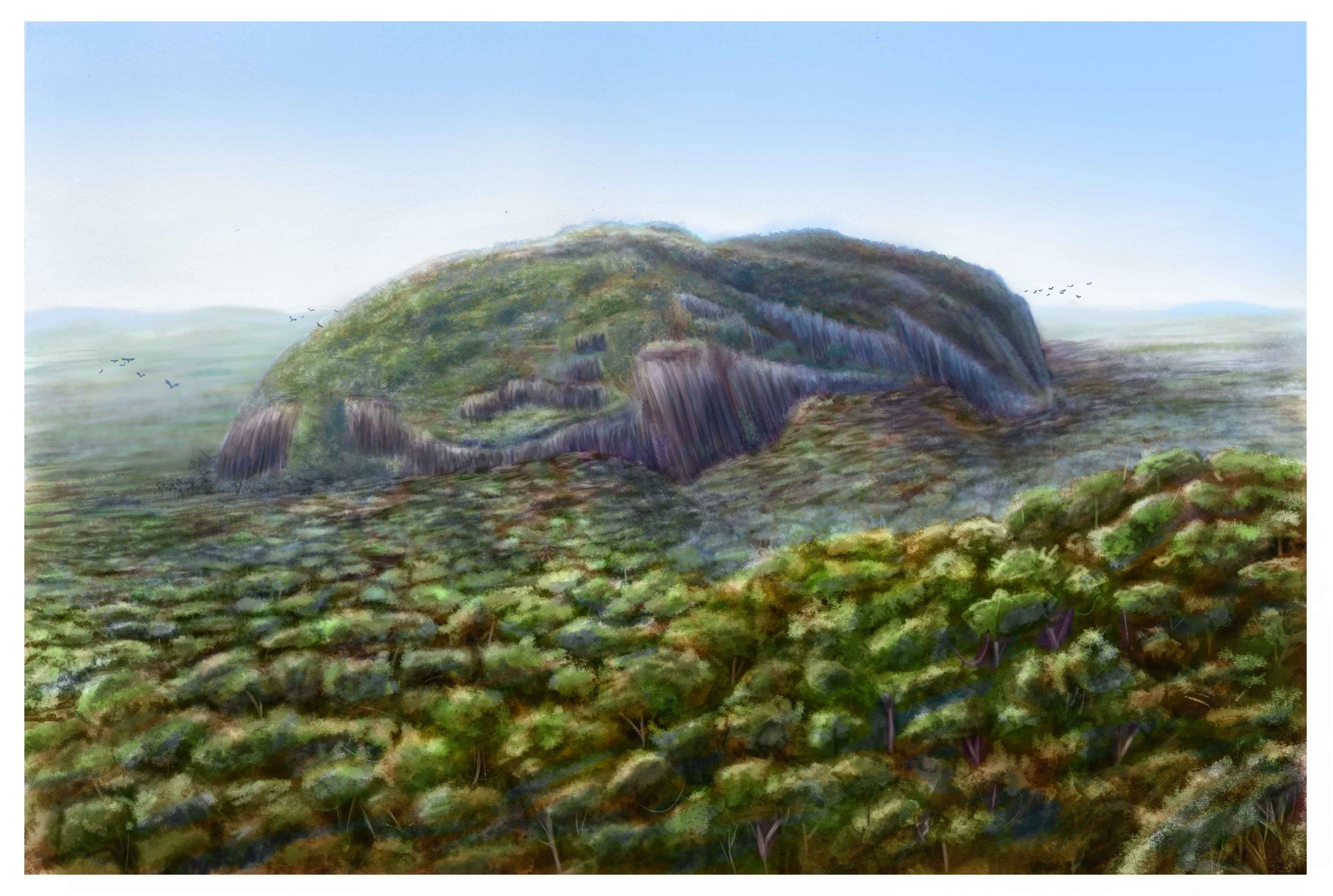 roche benitier - Dorian NOEL 2021 comp.jpg