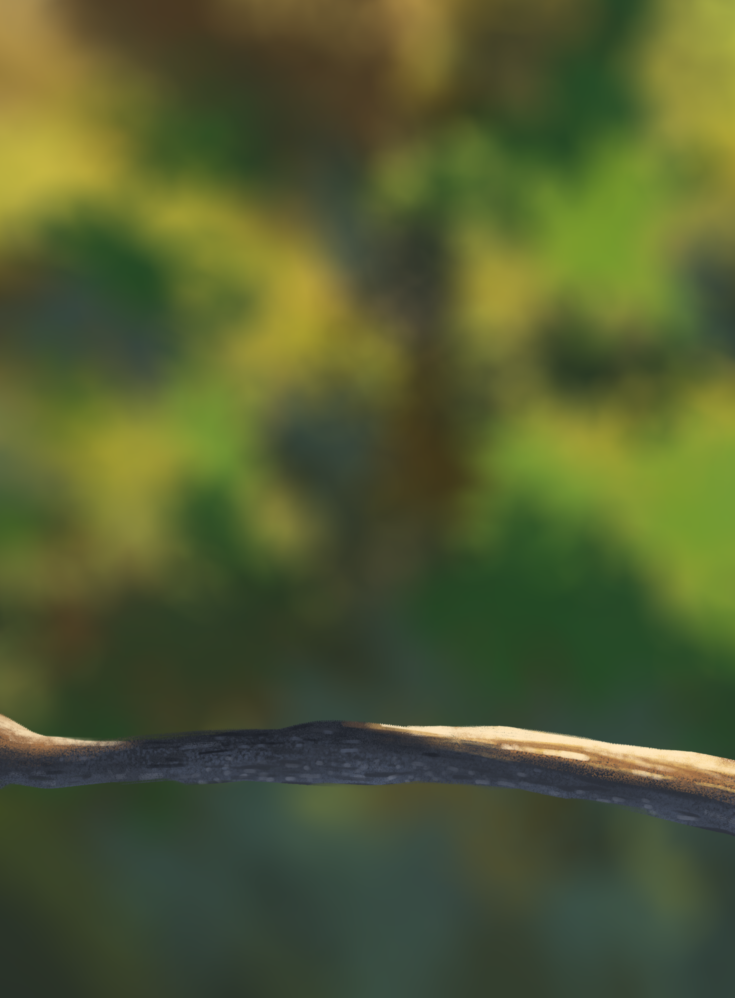 Exo 5 - Illustration des oisillions modifs.png