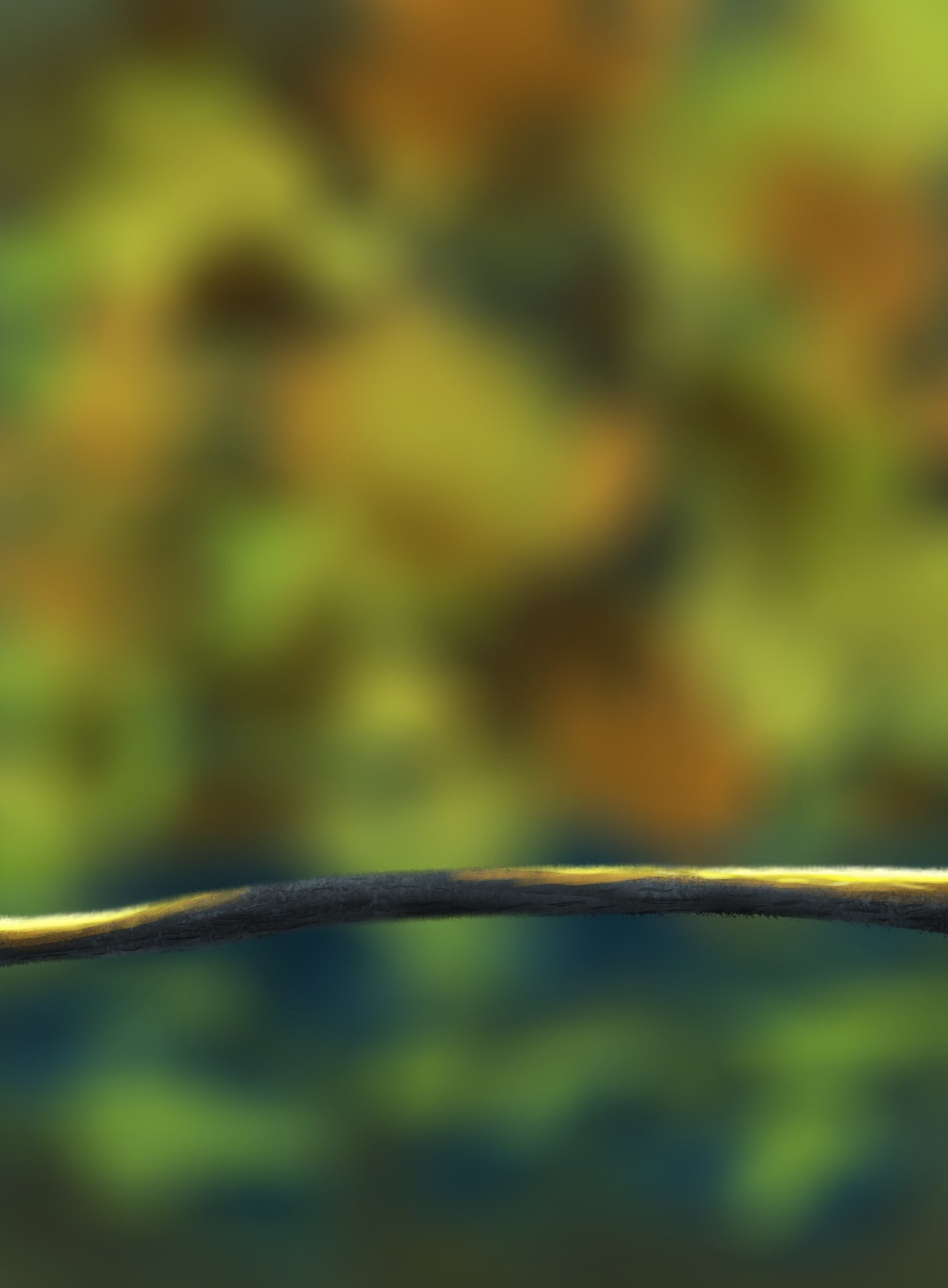 DPS Prog-1-1-Exercice5-Oiseau-Commencement_corrigé_1.jpg