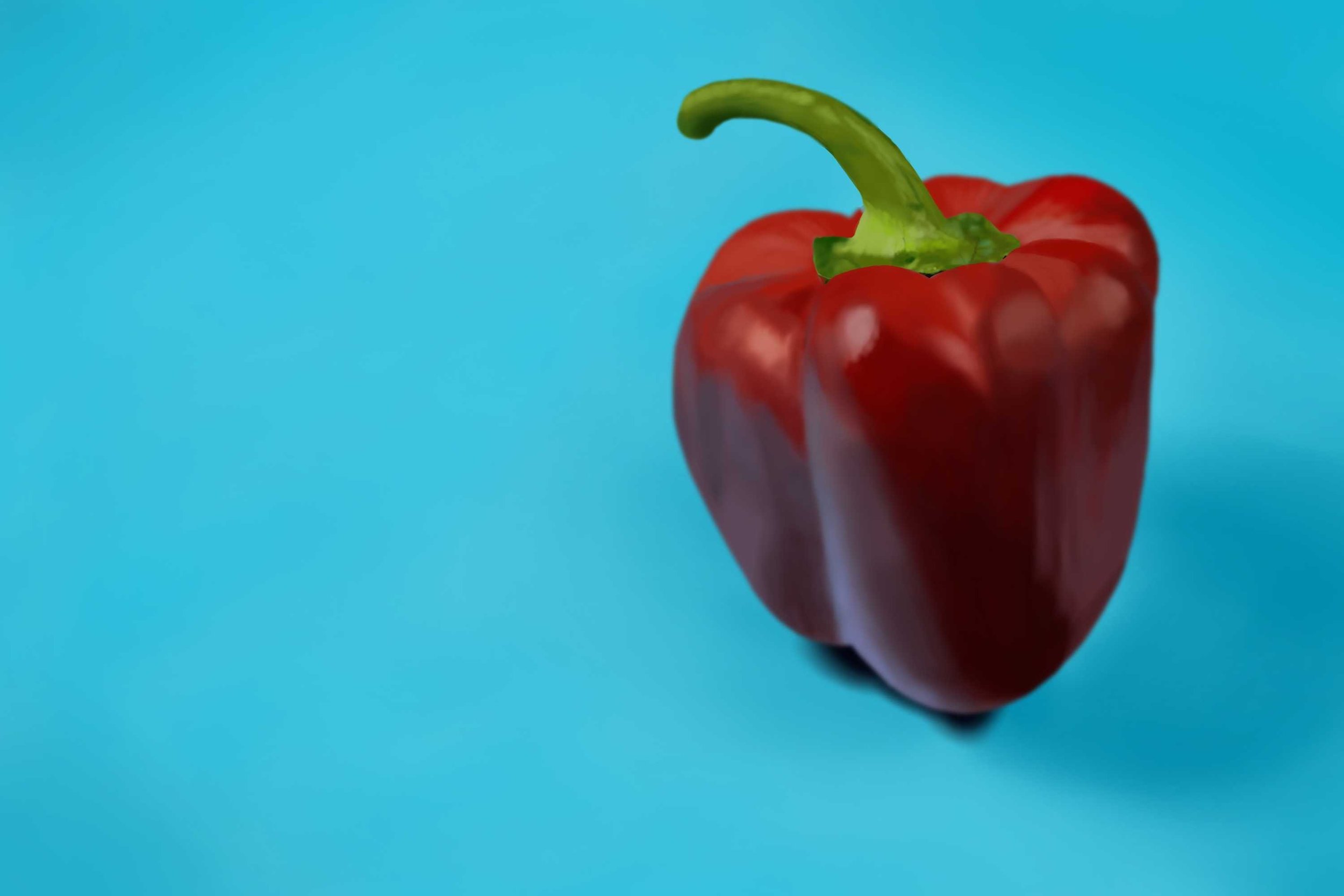 Exercice4-etude-photo1 terminé.jpg