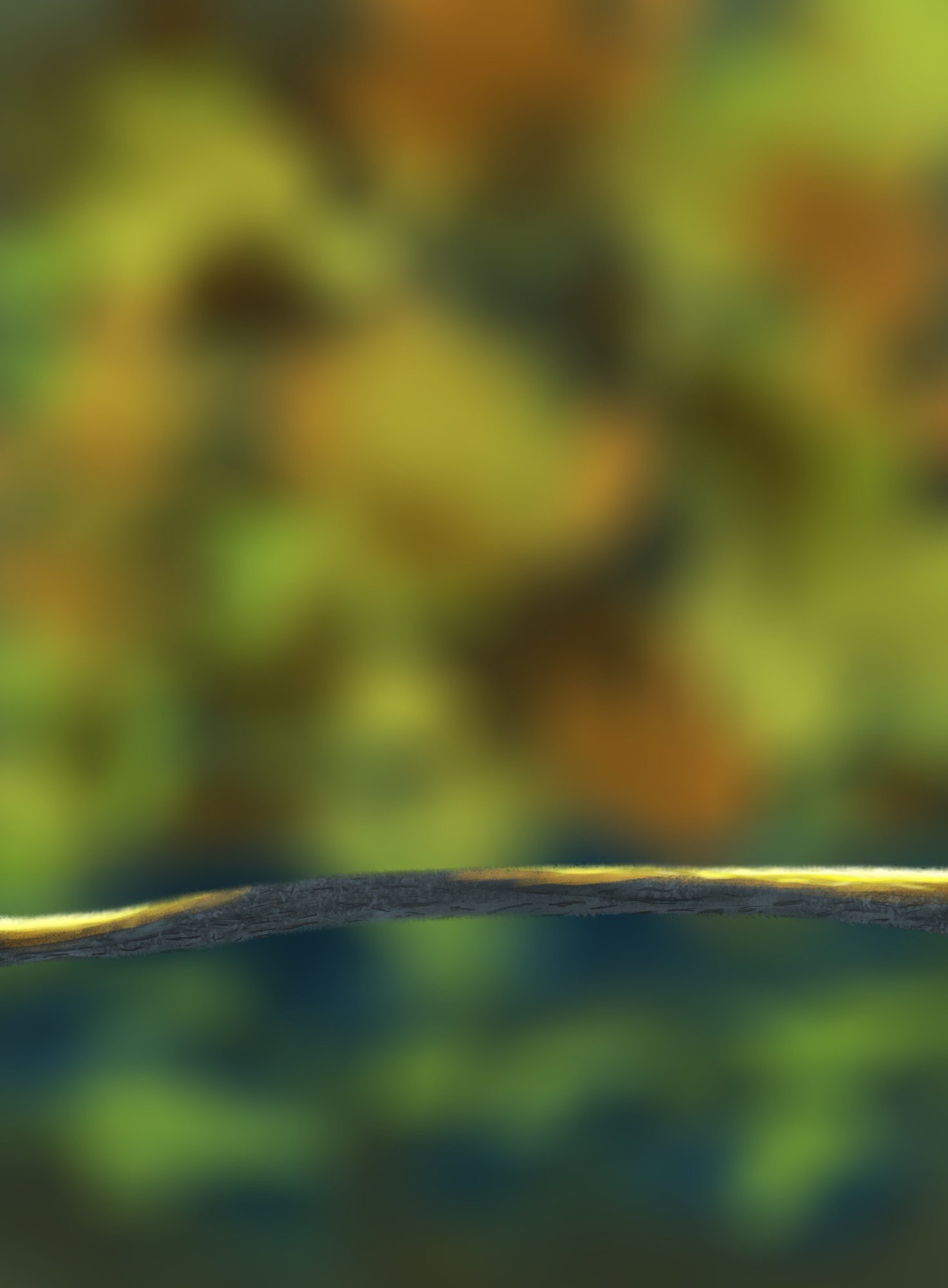 DPS Prog-1-1-Exercice5-Oiseau-Commencement_corrigé_2.jpg