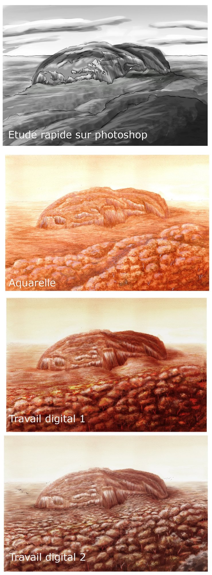 roche benitier-valor evo.jpg