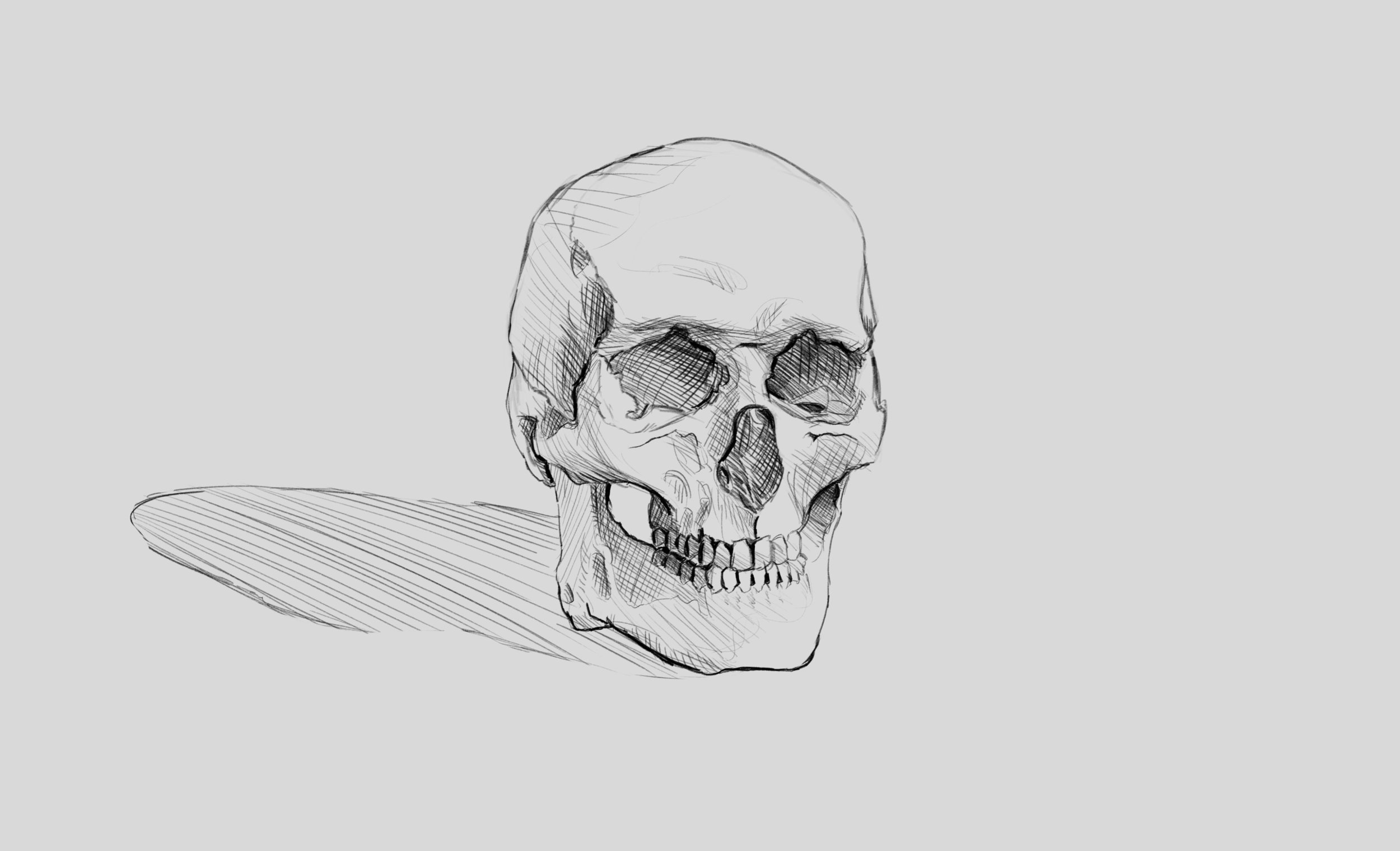 exercice croquis crane ugo.jpg