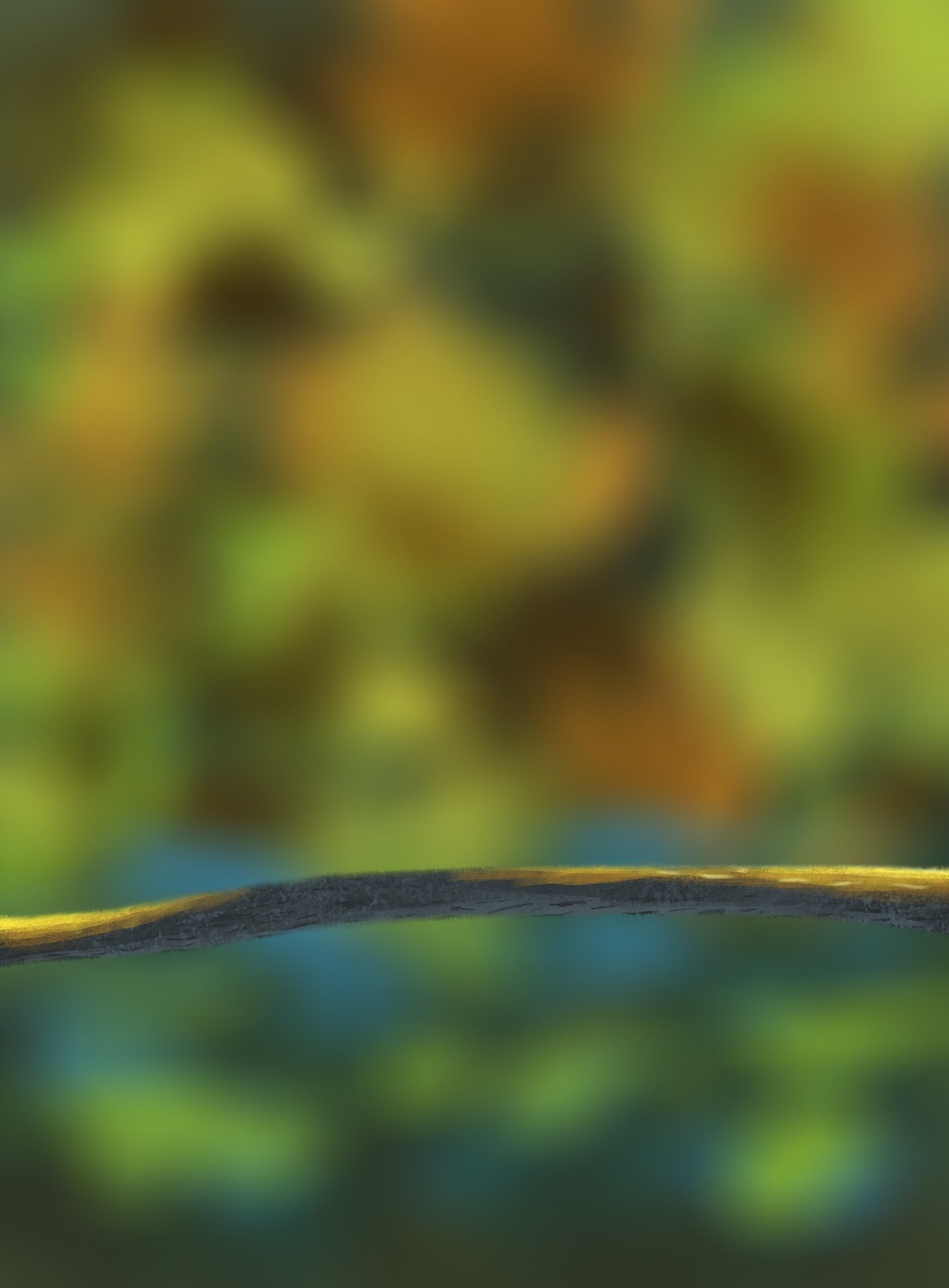 DPS Prog-1-1-Exercice5-Oiseau-Commencement.jpg