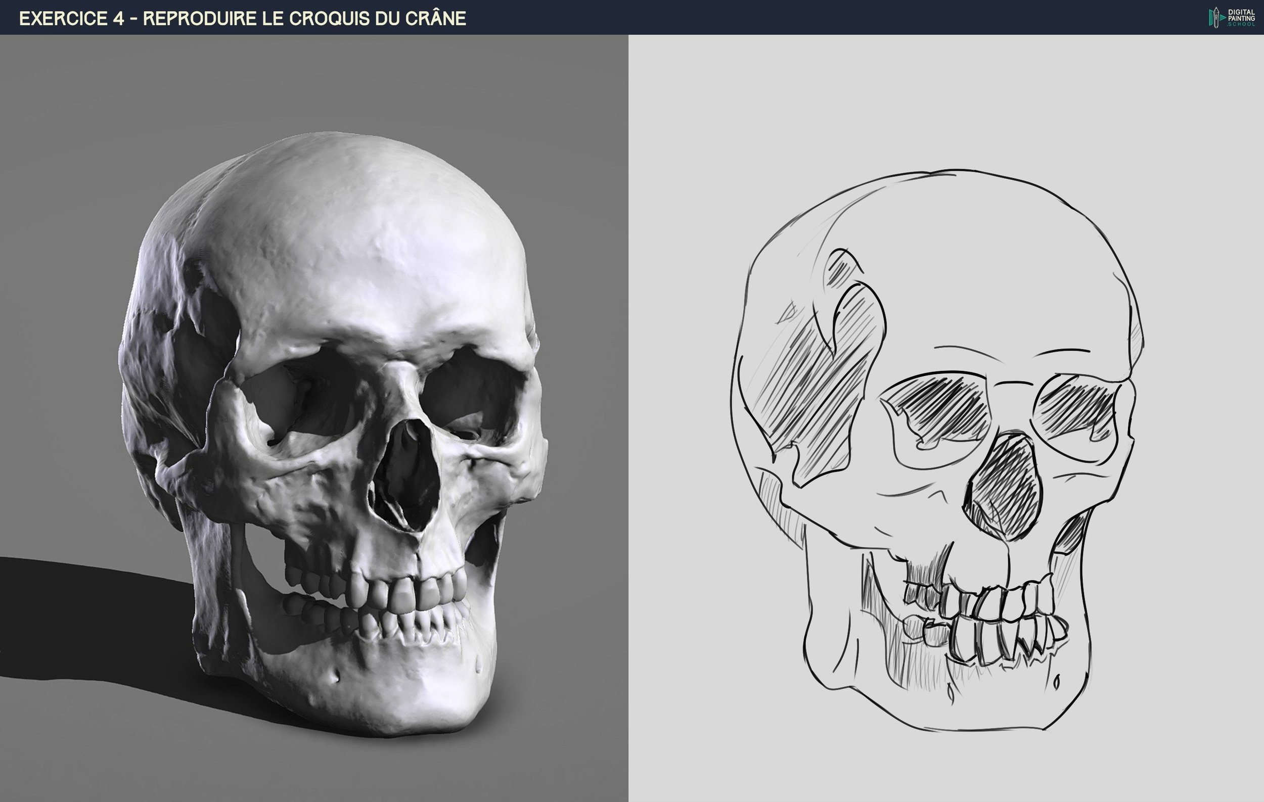 crane croquis final.jpg